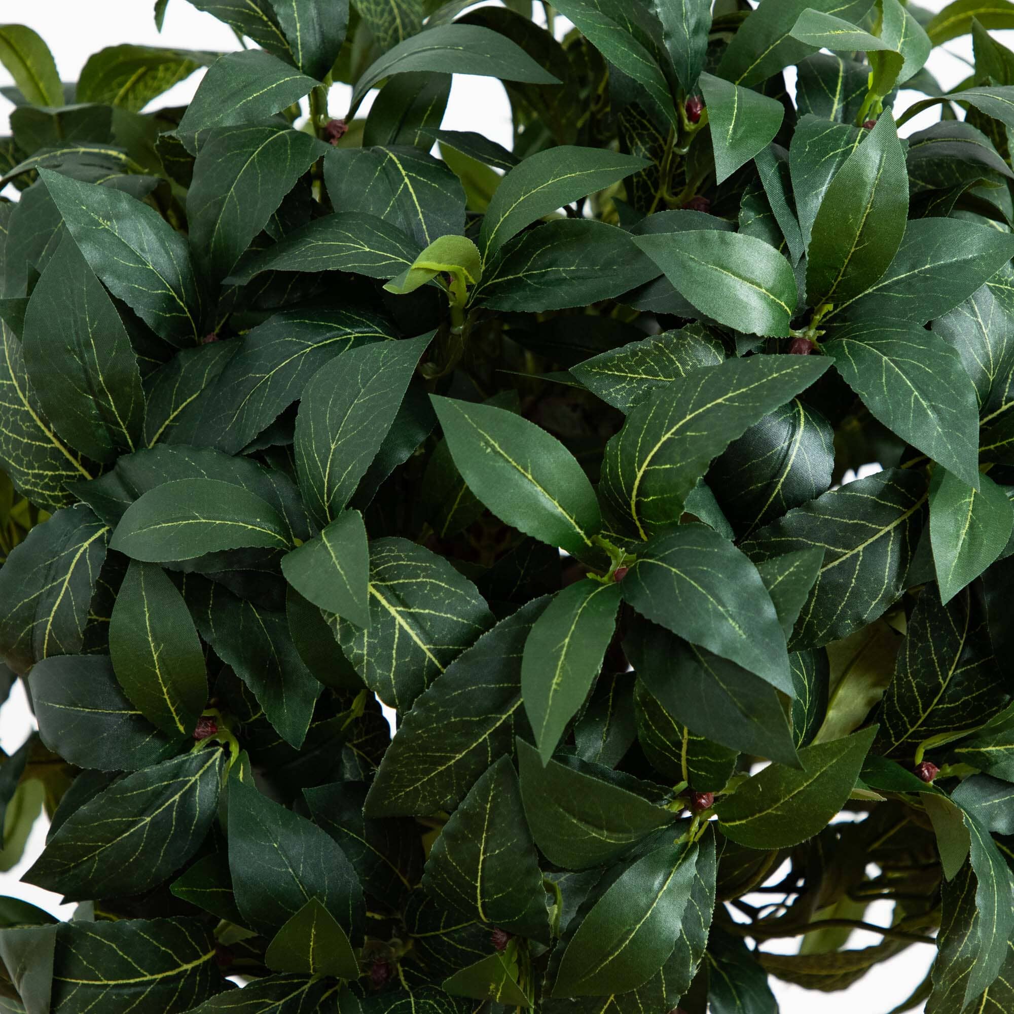 4' Sweet Bay Double Ball Topiary Silk Tree - Image 2