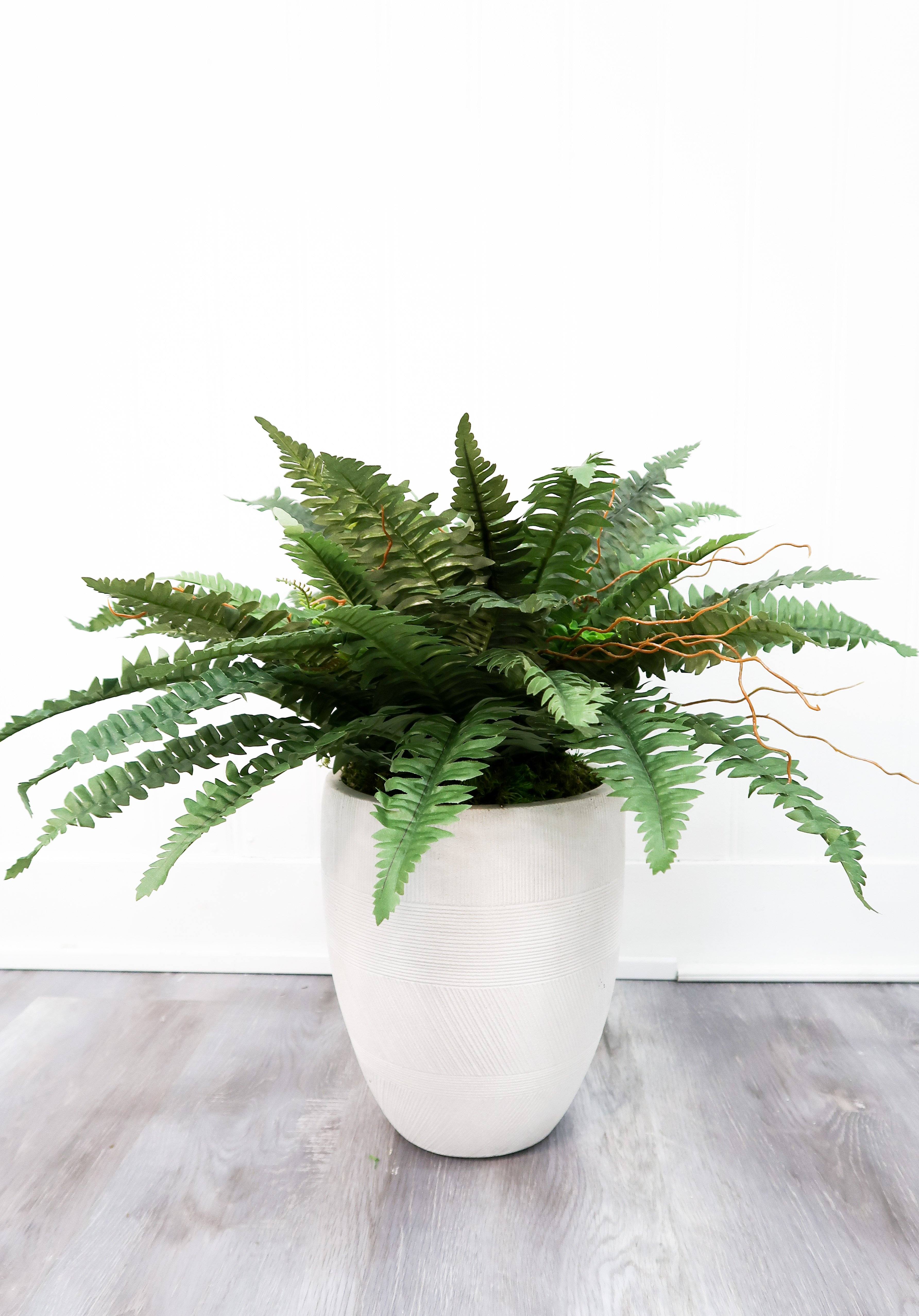 40” Artificial Boston Fern (Set of 2) - Image 6