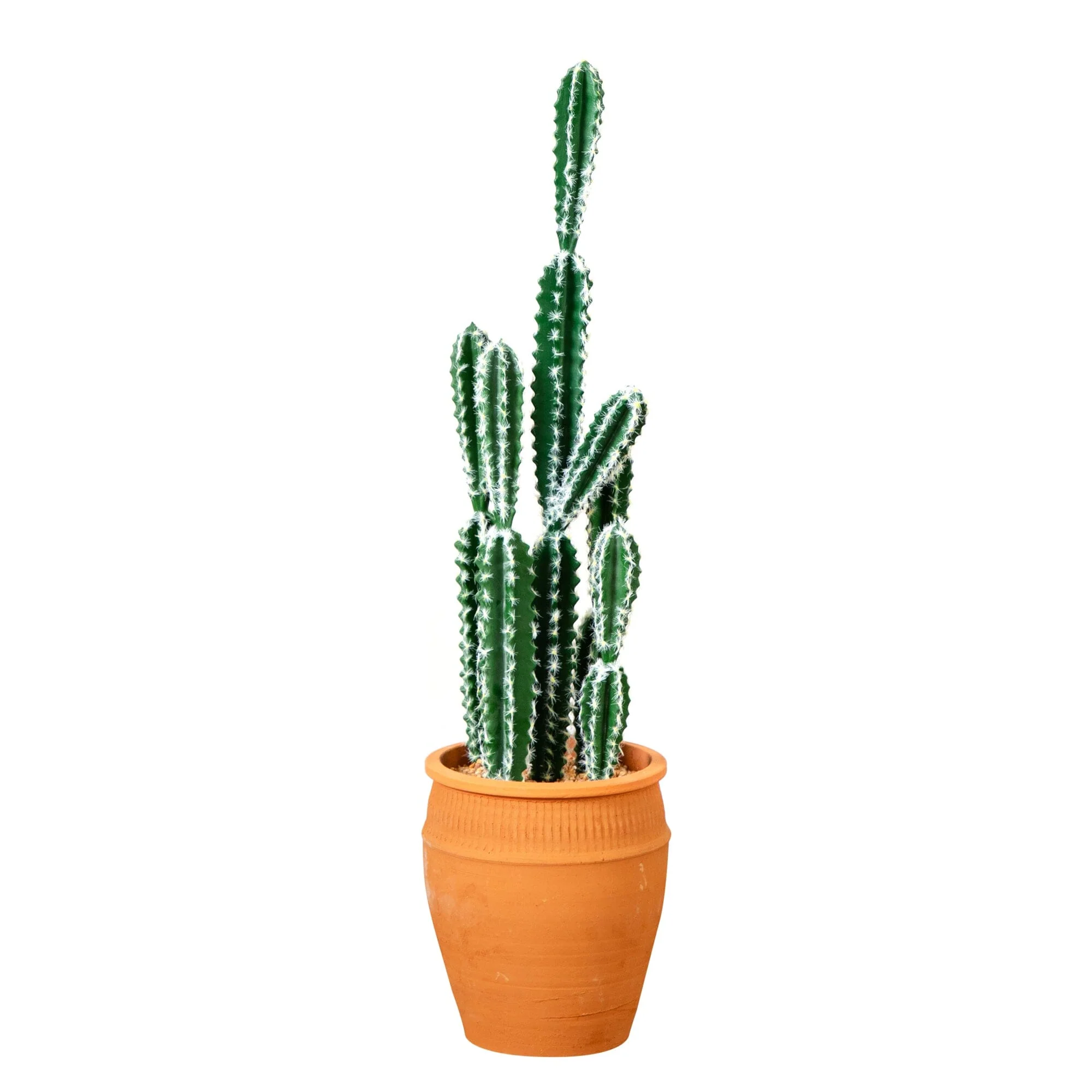 41” Artificial Cactus in Terracotta Planter - Image 7