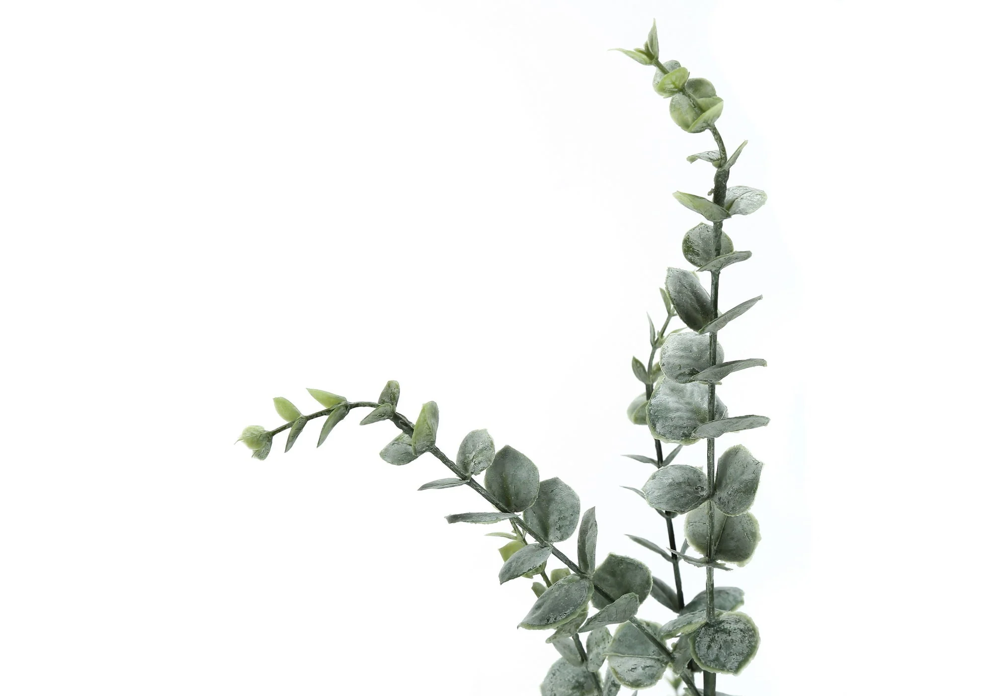 44" Tall, Artificial Plant, Eucalyptus Tree, Indoor, Faux, Fake, Floor, Greenery, Potted, Real Touch, Decorative - Green / Black - Image 4