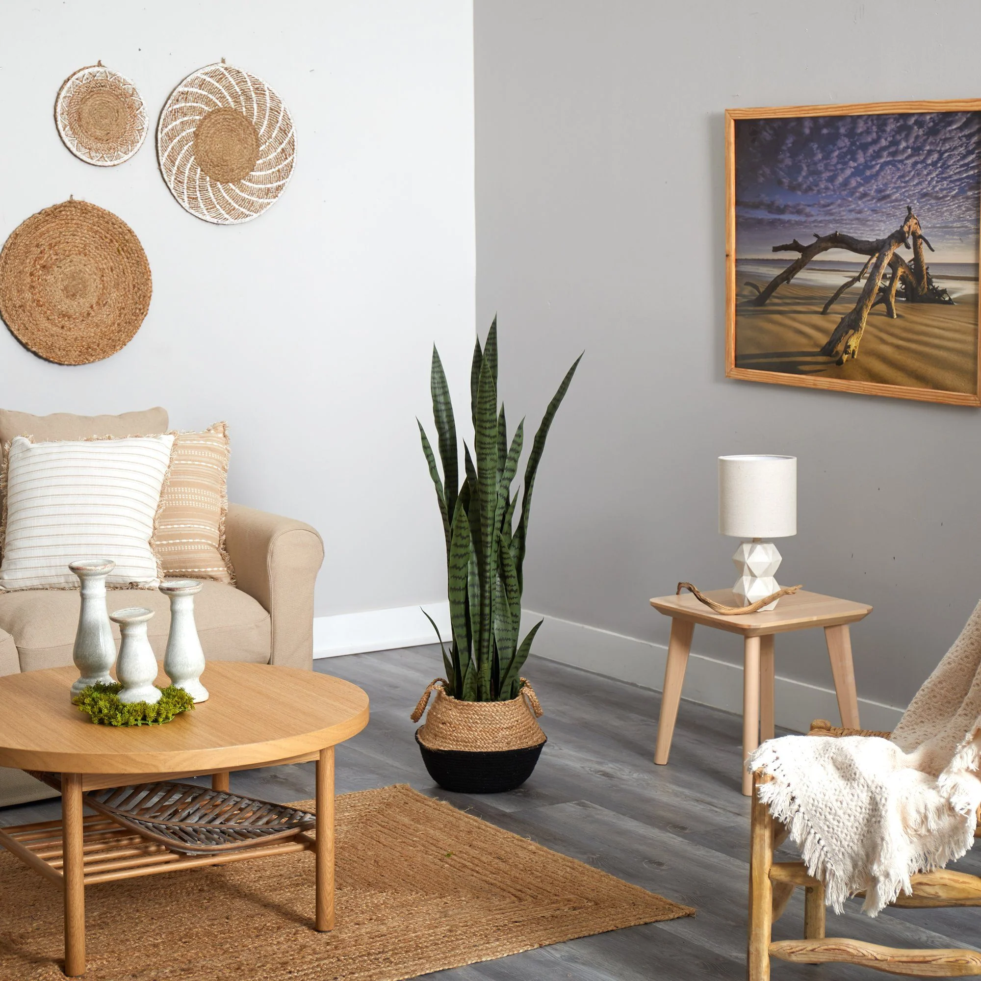 46” Sansevieria Plant in Cotton & Jute Black Woven Planter - Image 4
