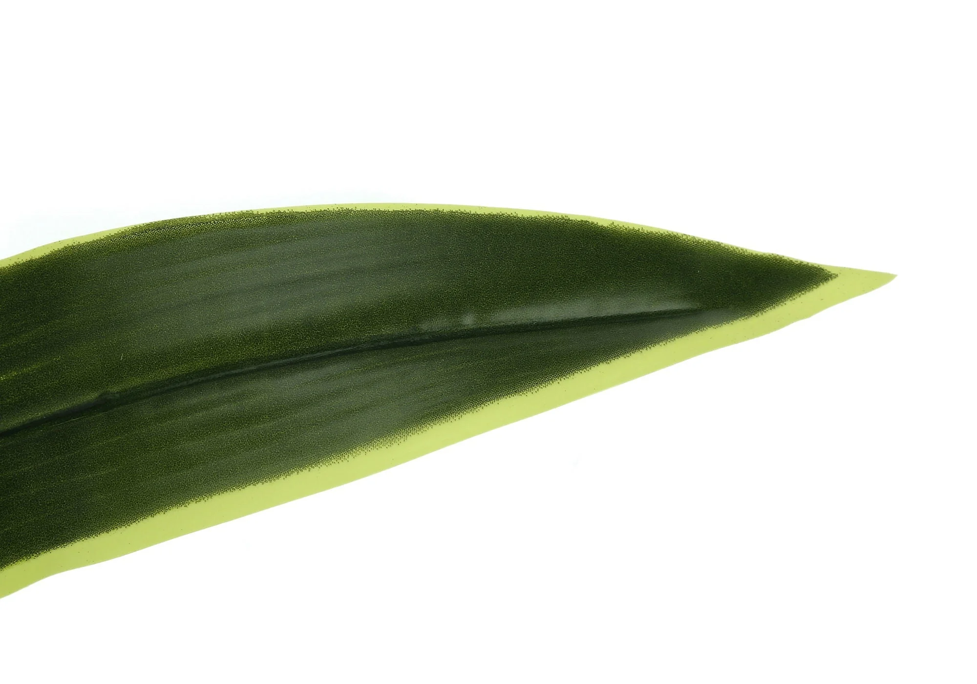 47" Tall, Artificial Plant, Dracaena Tree, Indoor, Faux, Fake, Floor, Greenery, Potted, Real Touch, Decorative - Green / Black - Image 2