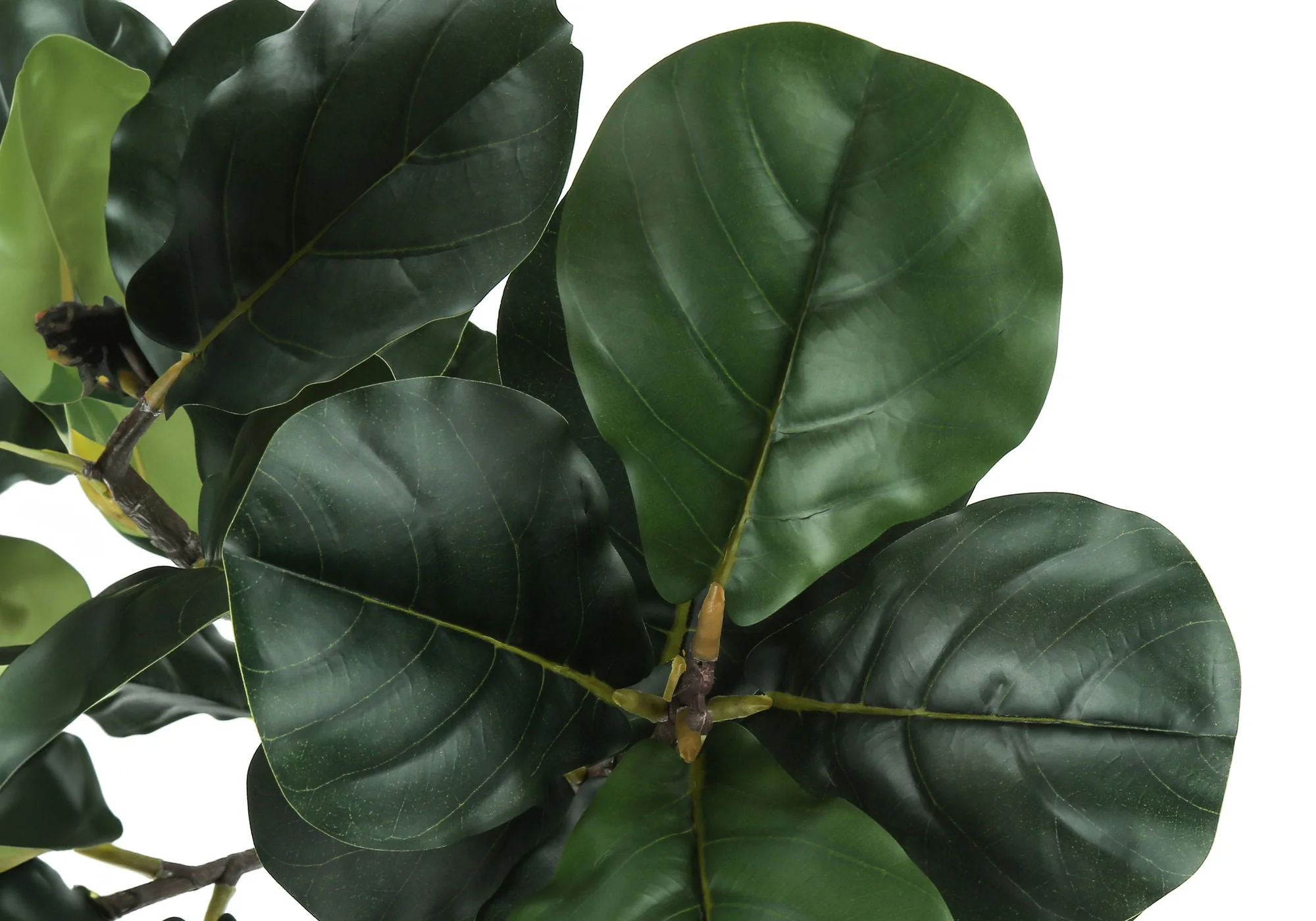 47" Tall, Artificial Plant, Fiddle Tree, Indoor, Fake, Floor, Greenery, Potted, Real Touch, Decorative - Green / Black - Image 4