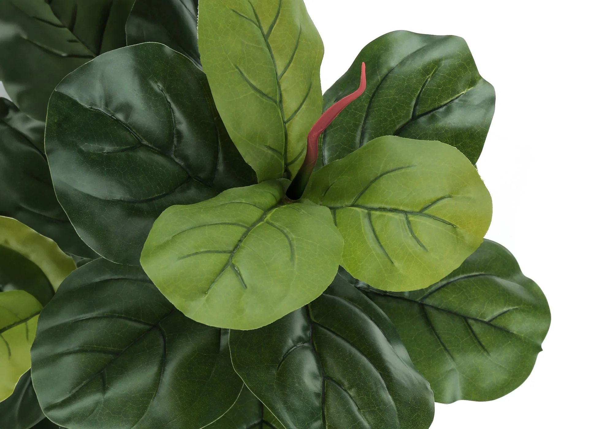 47" Tall, Artificial Plant, Fiddle Tree, Indoor, Faux, Fake, Floor, Greenery, Potted, Real Touch, Decorative - Green / Black - Image 3