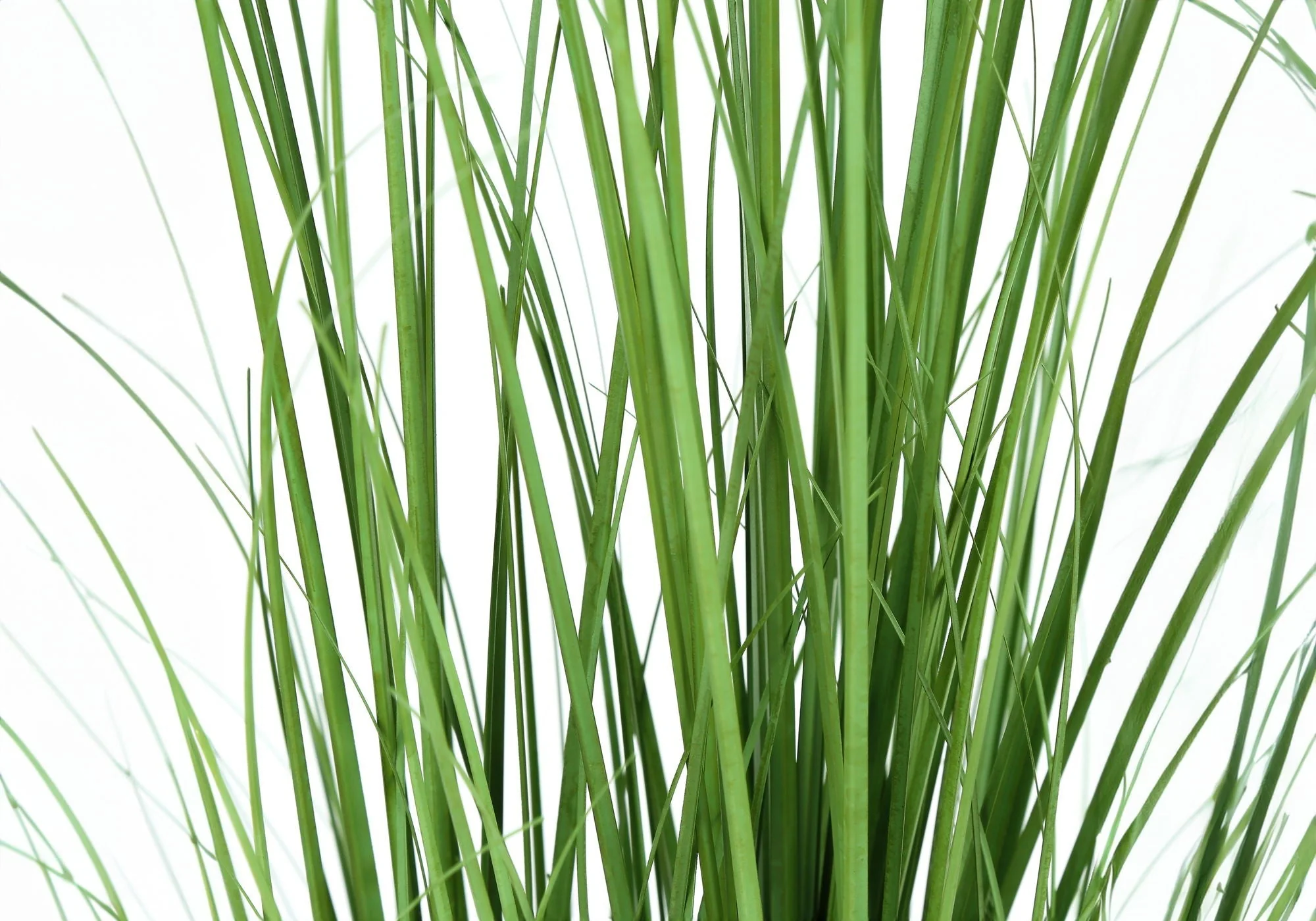 47" Tall, Artificial Plant, Grass Tree, Indoor, Faux, Fake, Floor, Greenery, Potted, Real Touch, Decorative - Green / Black - Image 4