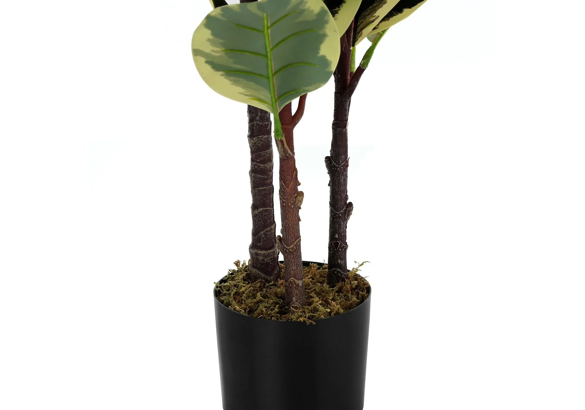 47" Tall, Artificial Plant, Oak Tree, Indoor, Faux, Fake, Floor, Greenery, Potted, Real Touch, Decorative - Green / Black - Image 4