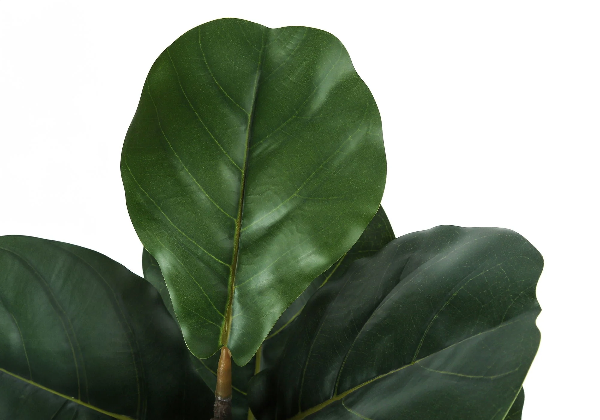 49" Tall, Artificial Plant, Fiddle Tree, Indoor, Faux, Fake, Floor, Greenery, Potted, Real Touch, Decorative - Green / Black - Image 2