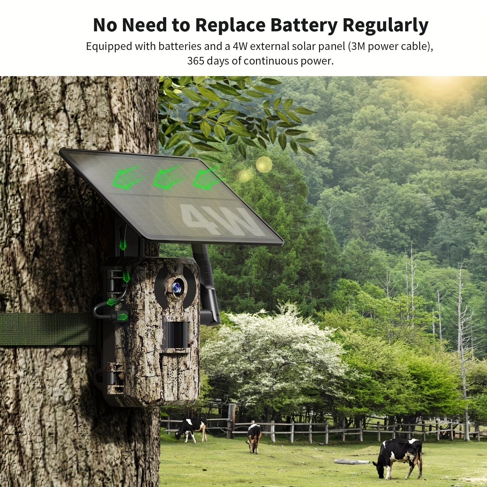 4K Hunting Trail Camera with 4G Live View, Solar Powered & Auto Night Vision - Image 3