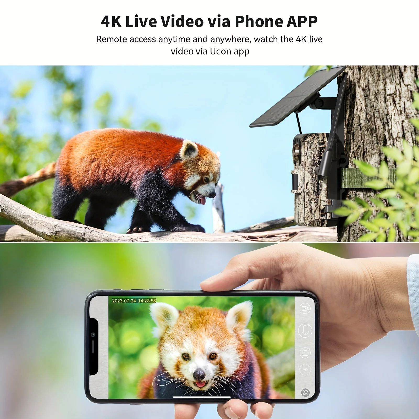 4K Hunting Trail Camera with 4G Live View, Solar Powered & Auto Night Vision - Image 9