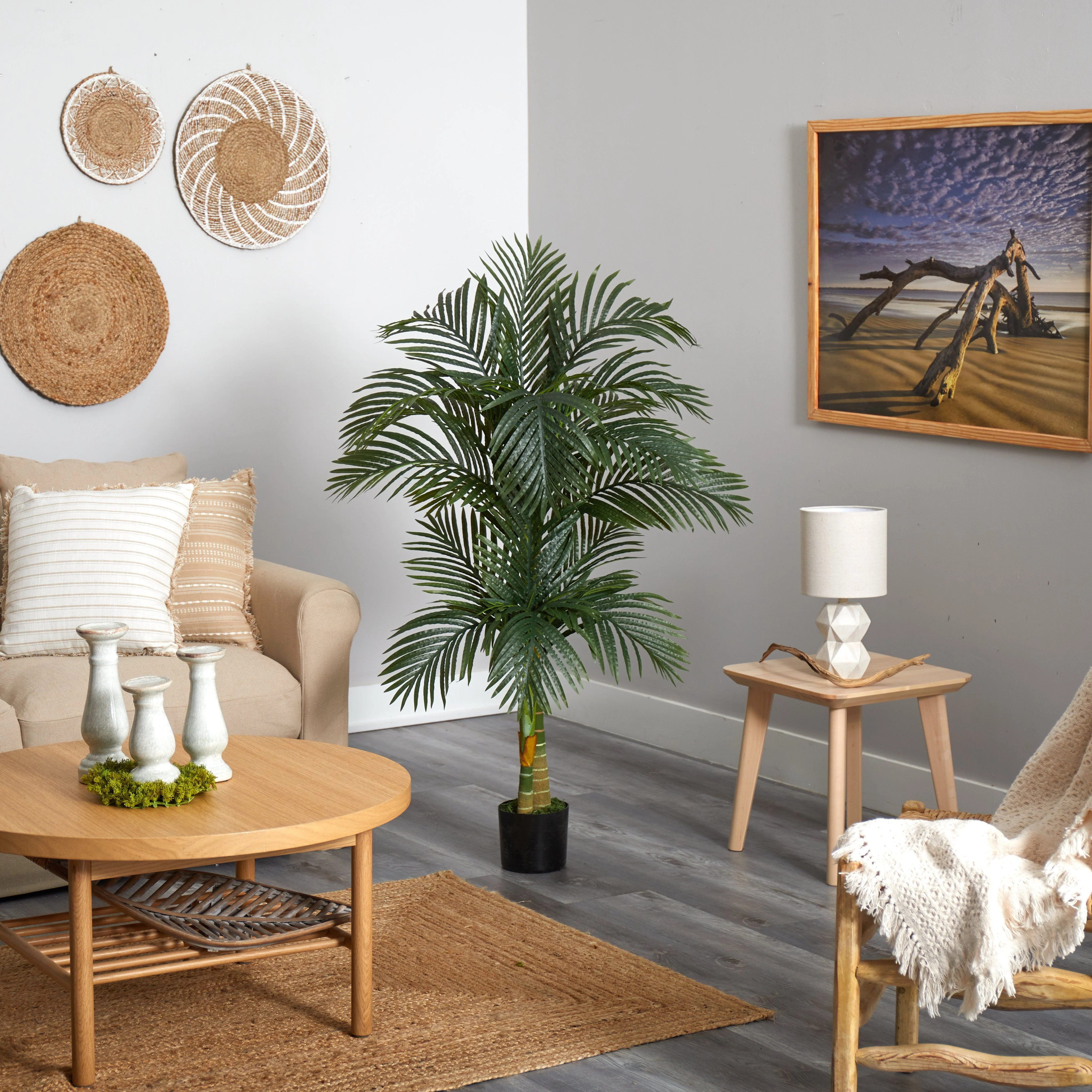 5.5’ Double Robellini Palm Tree UV Resistant (Indoor/Outdoor) - Image 3