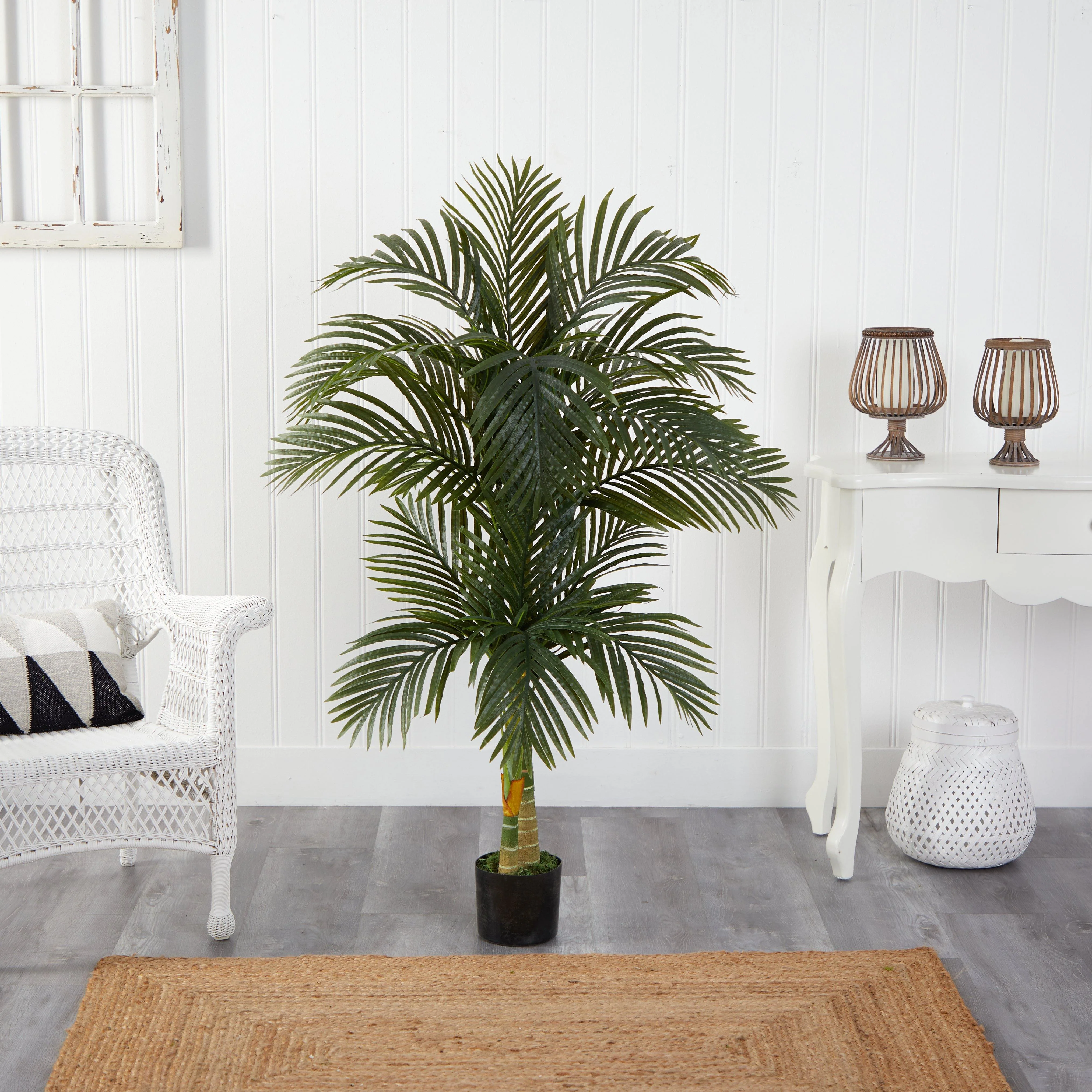 5.5’ Double Robellini Palm Tree UV Resistant (Indoor/Outdoor) - Image 4