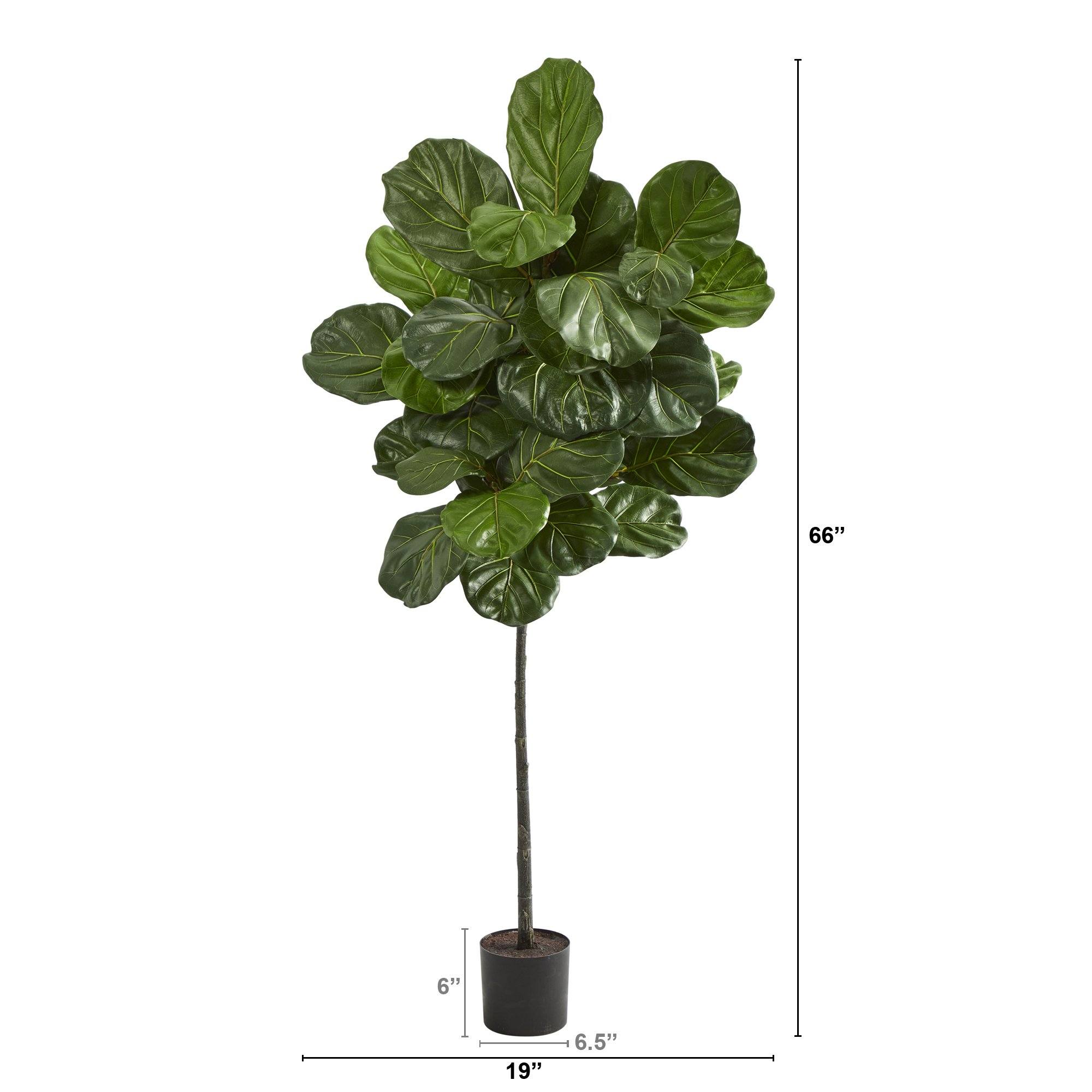 5.5’ Fiddle Leaf Artificial Tree - Image 2