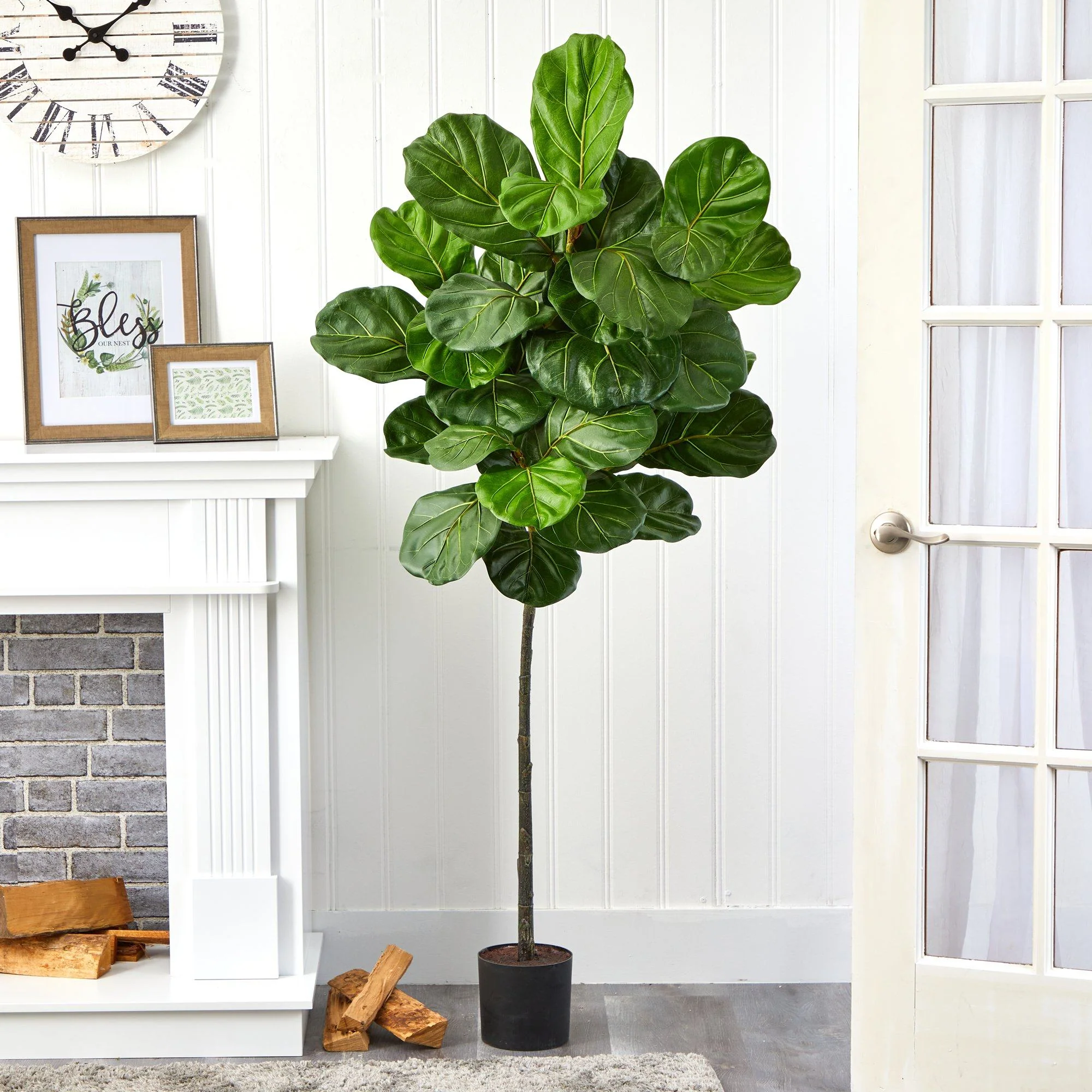5.5’ Fiddle Leaf Artificial Tree - Image 3