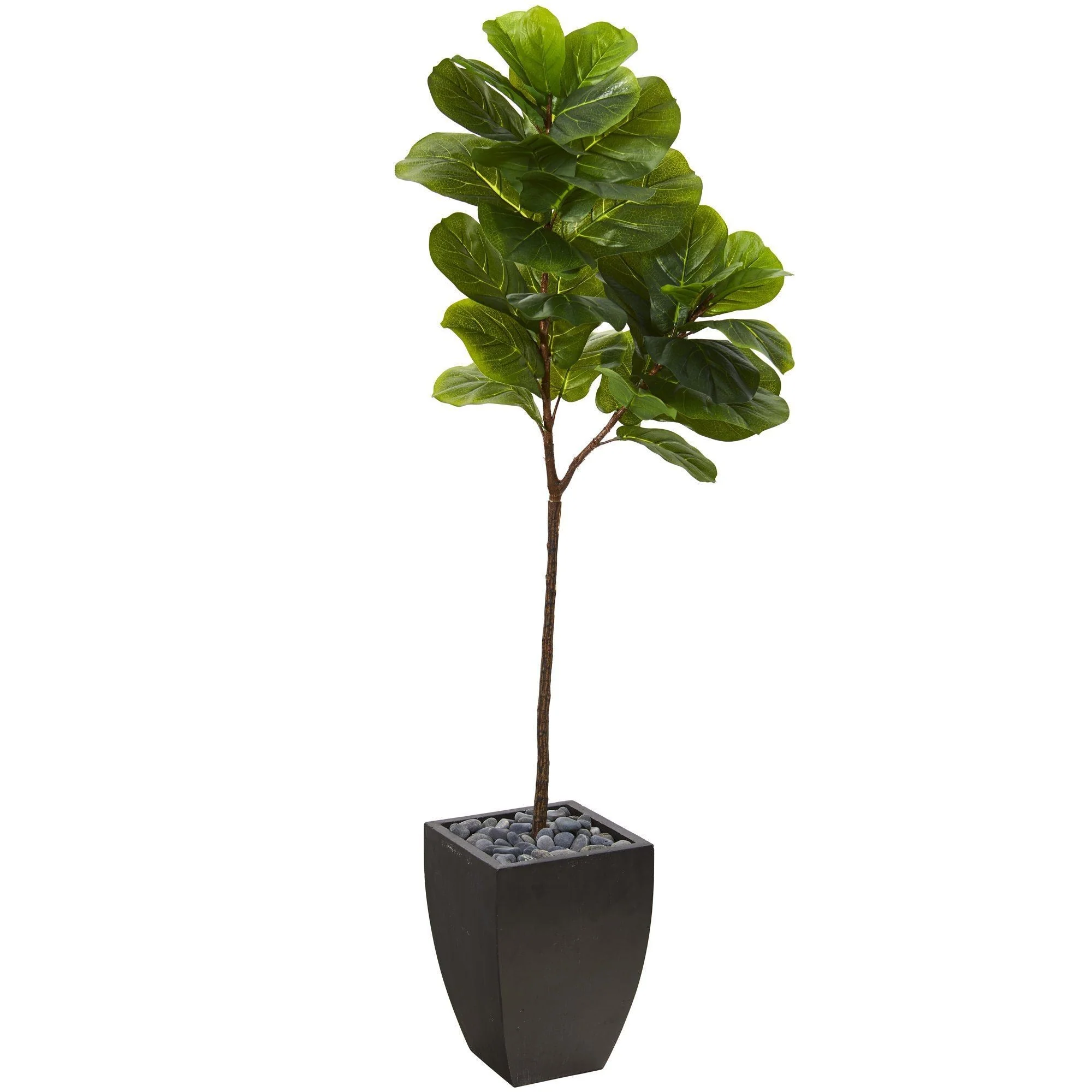 5.5’ Fiddle Leaf Artificial Tree in Black Planter (Real Touch) - Image 6