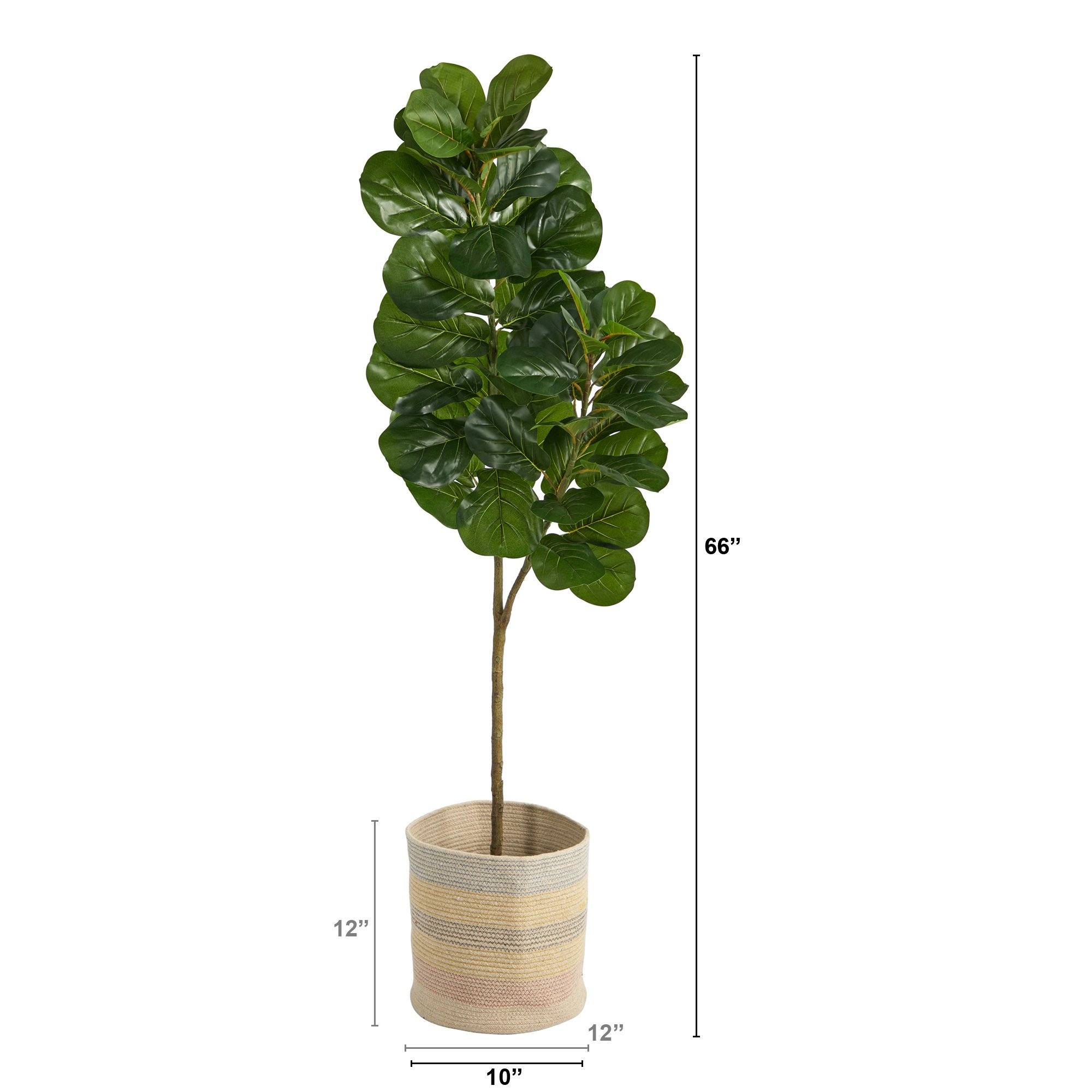 5.5’ Fiddle Leaf Fig Artificial Tree in Handmade Natural Cotton Multicolored Woven Planter - Image 2