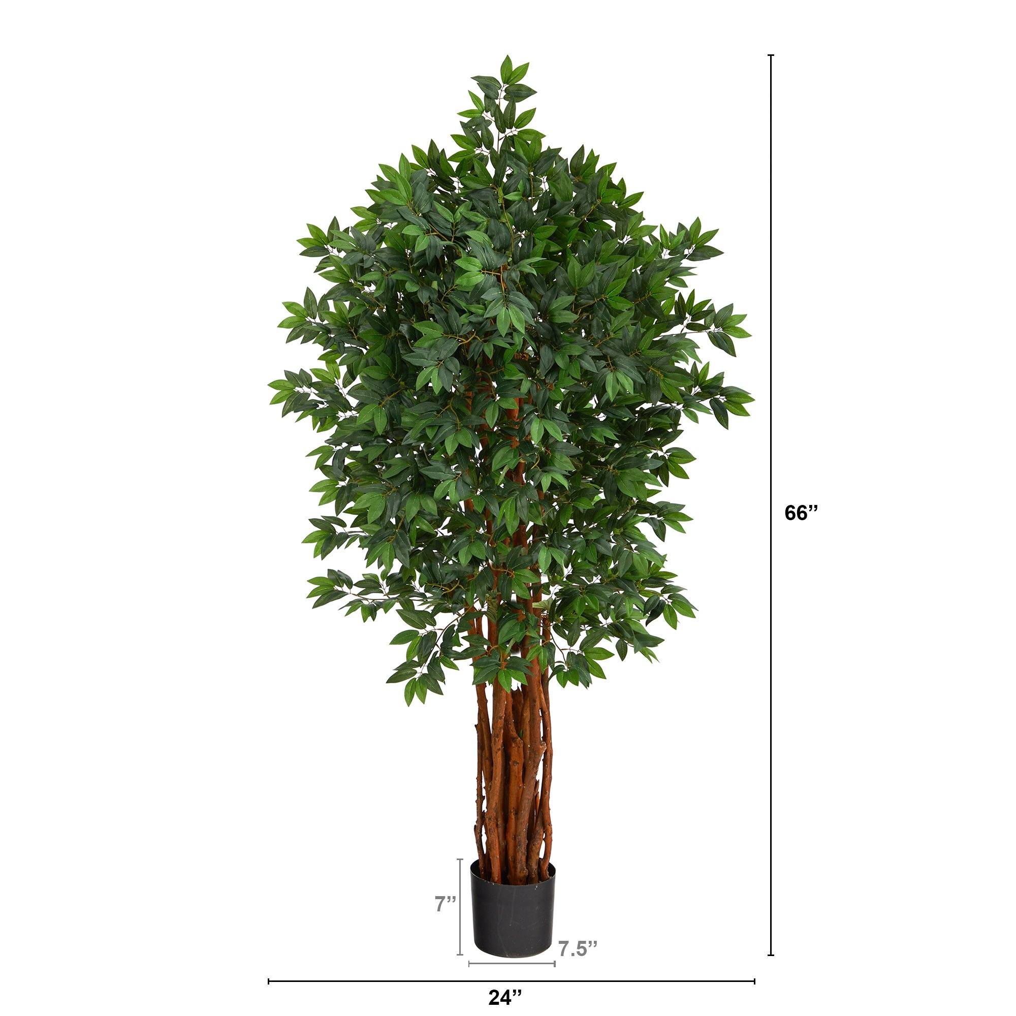 5.5’ Lychee Artificial Tree with Natural Trunk - Image 2