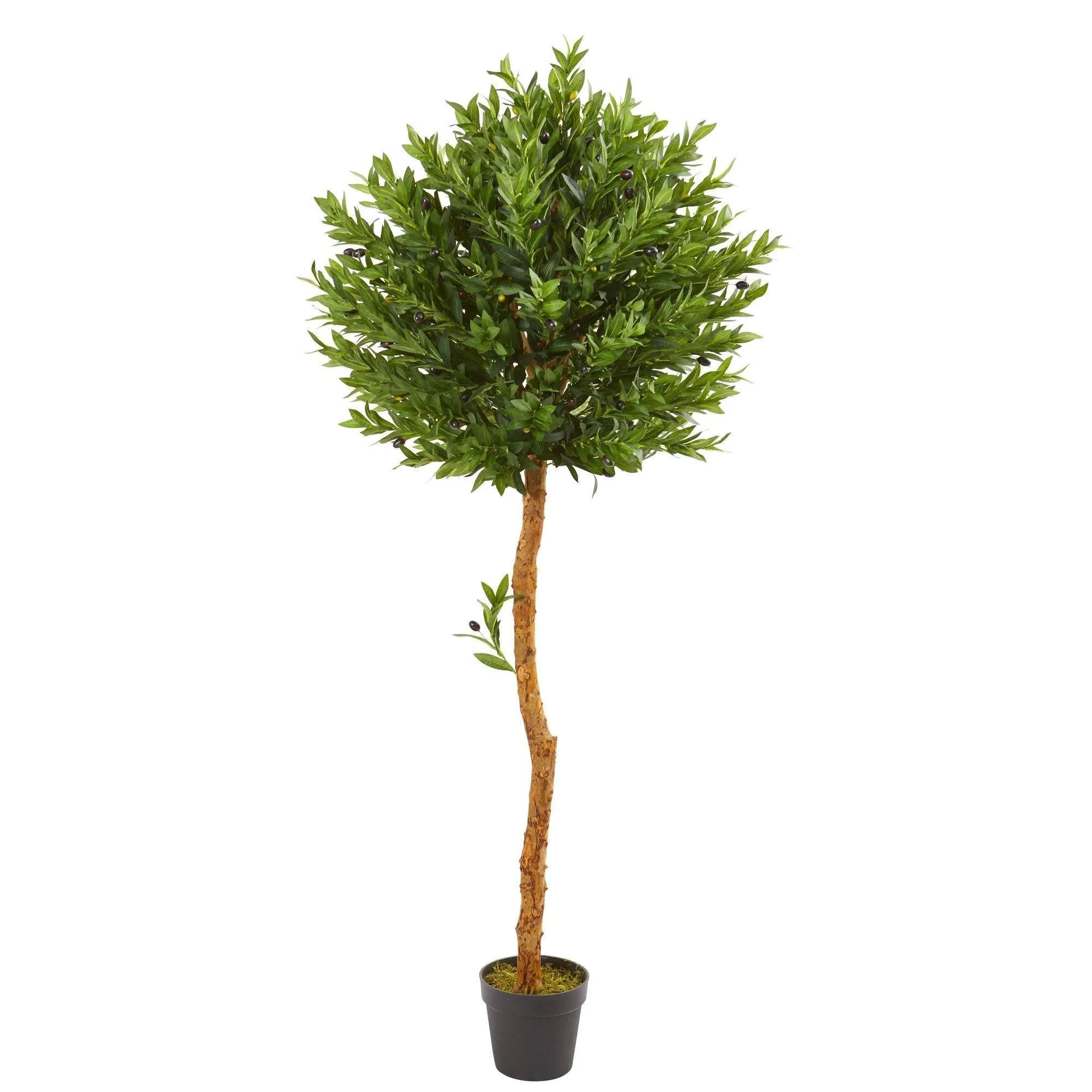 5.5’ Olive Topiary Artificial Tree UV Resistant (Indoor/Outdoor) - Image 3