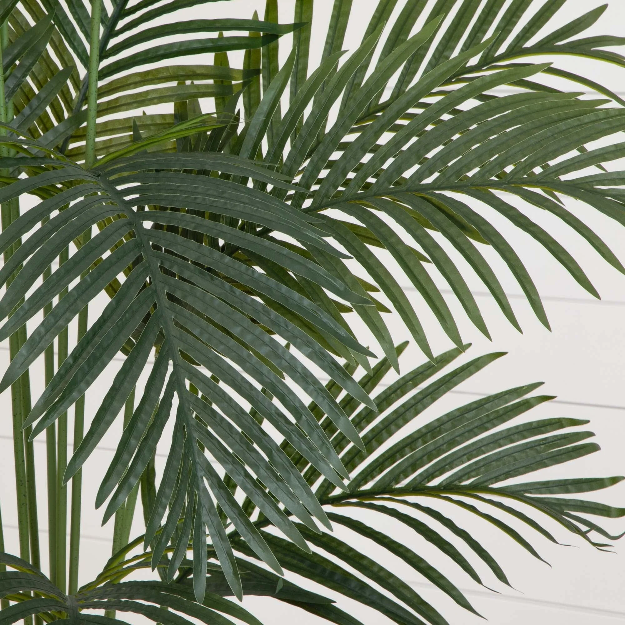 5.5’ Paradise Artificial Palm Tree in Black Planter - Image 2