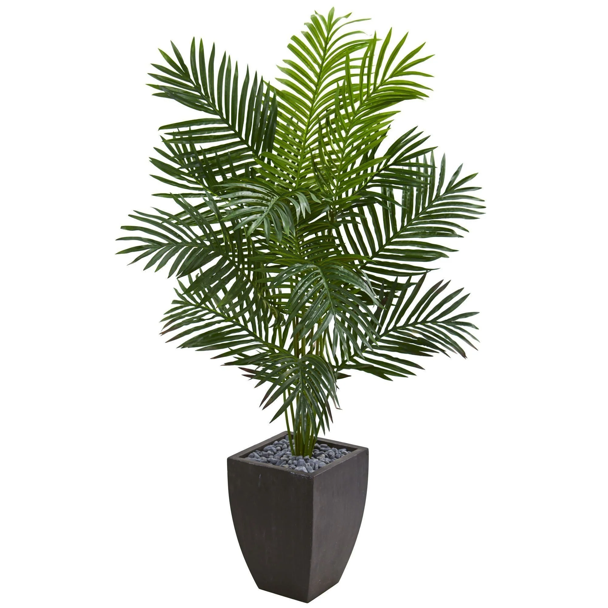 5.5’ Paradise Artificial Palm Tree in Black Planter - Image 3
