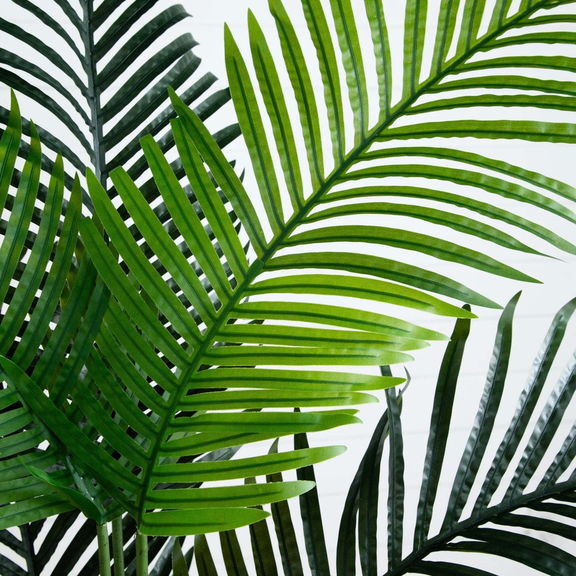 5.5’ Paradise Artificial Palm Tree in Sand Colored Planter - Image 2