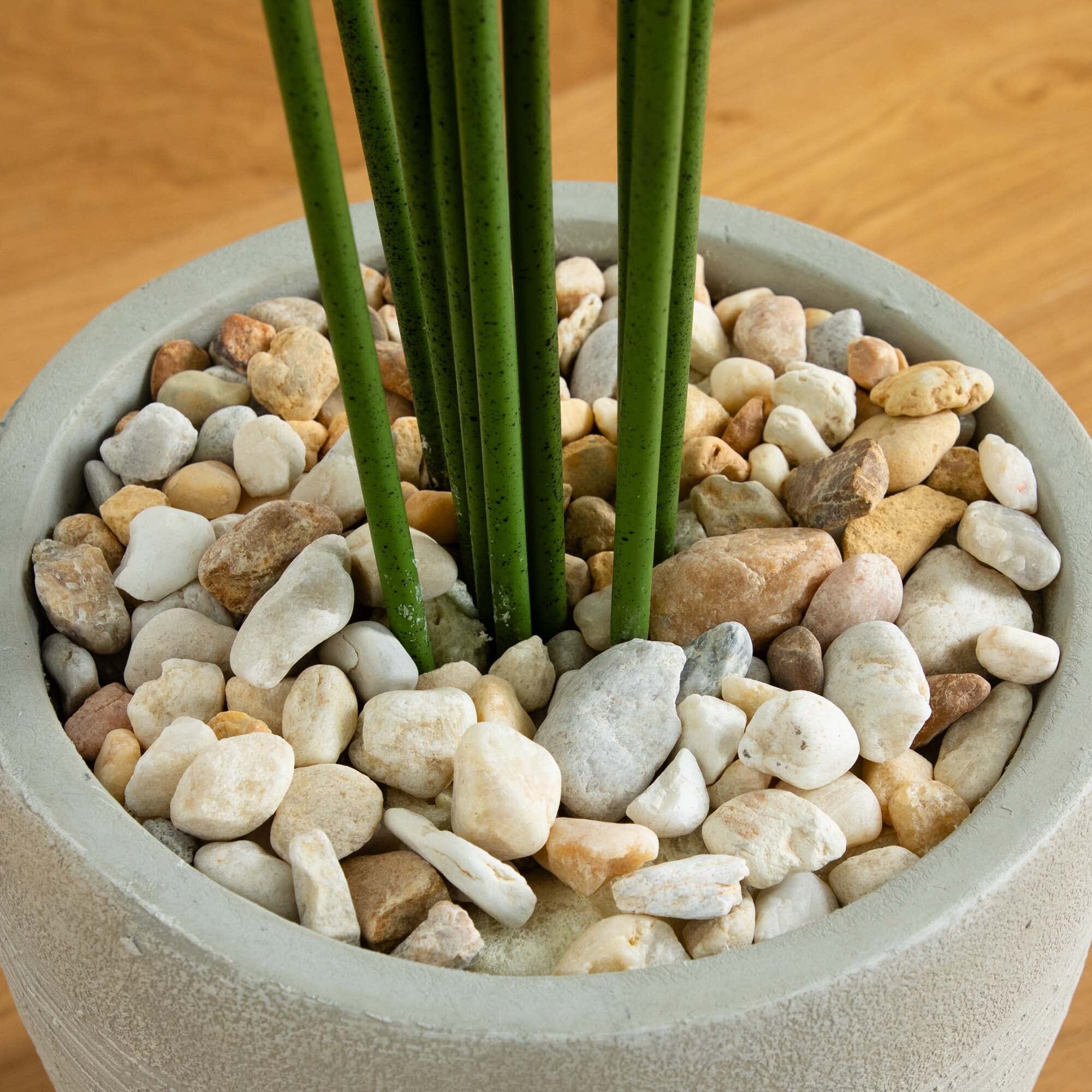 5.5’ Paradise Artificial Palm Tree in Sand Colored Planter - Image 4