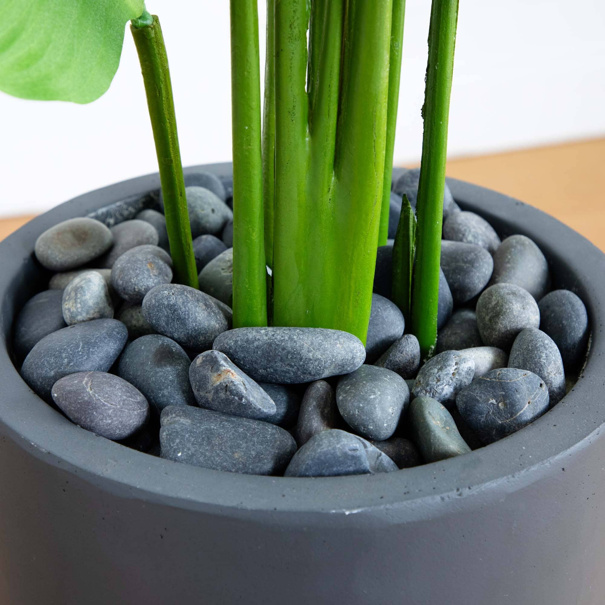 5.5’ Traveler's Palm Artificial Tree in Gray Planter - Image 4