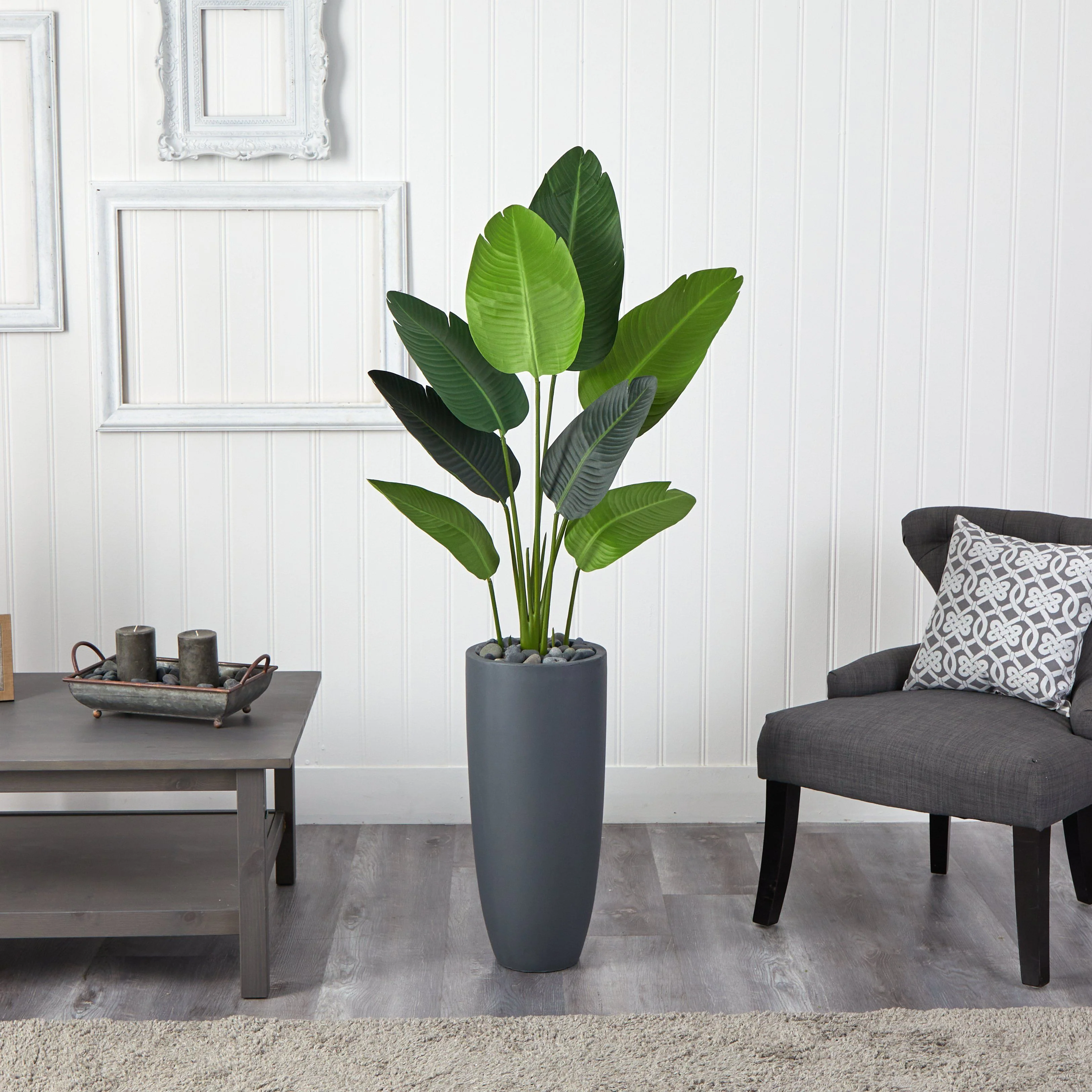 5.5’ Traveler's Palm Artificial Tree in Gray Planter - Image 5