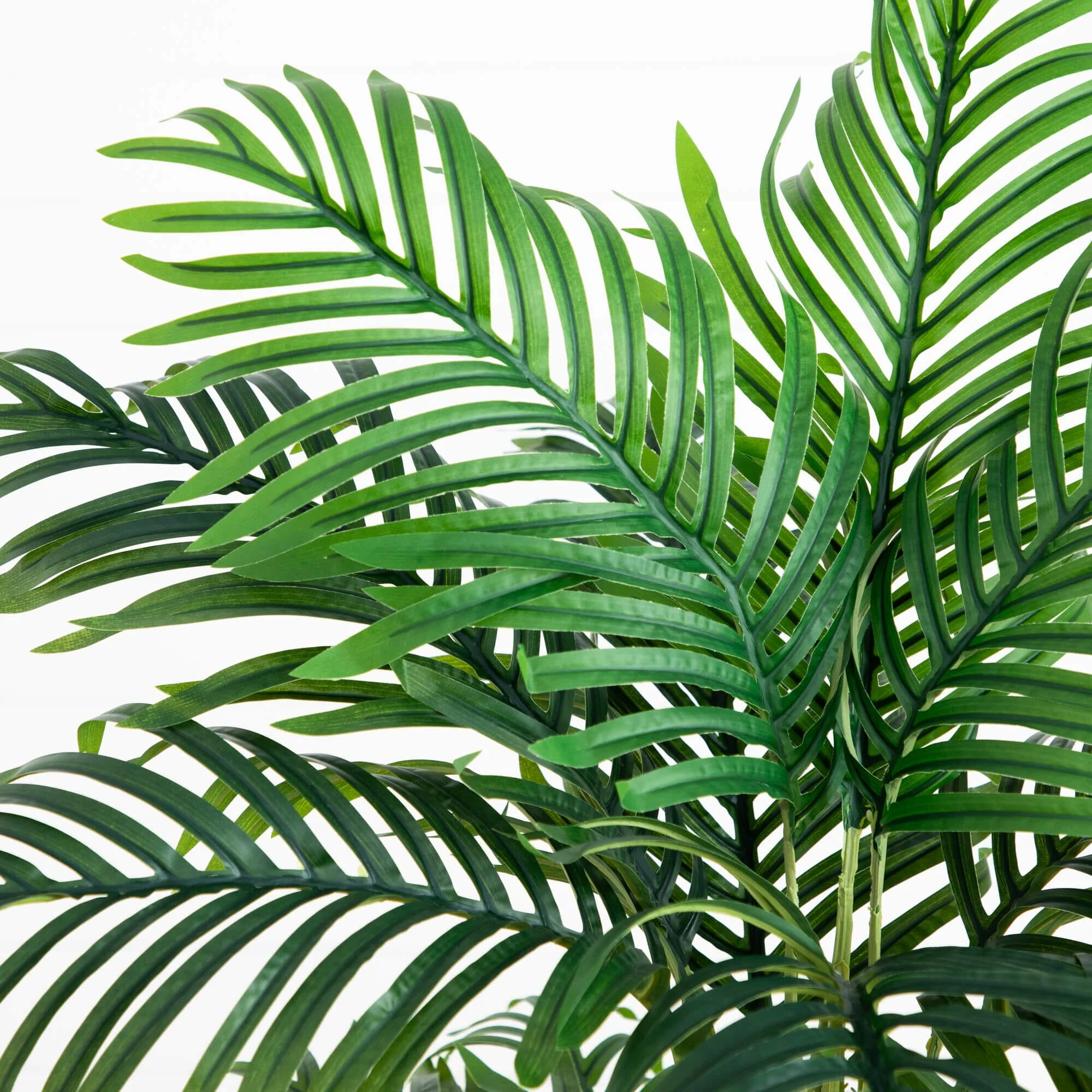 5.5’ Triple Areca Palm Artificial Tree in White Planter - Image 2