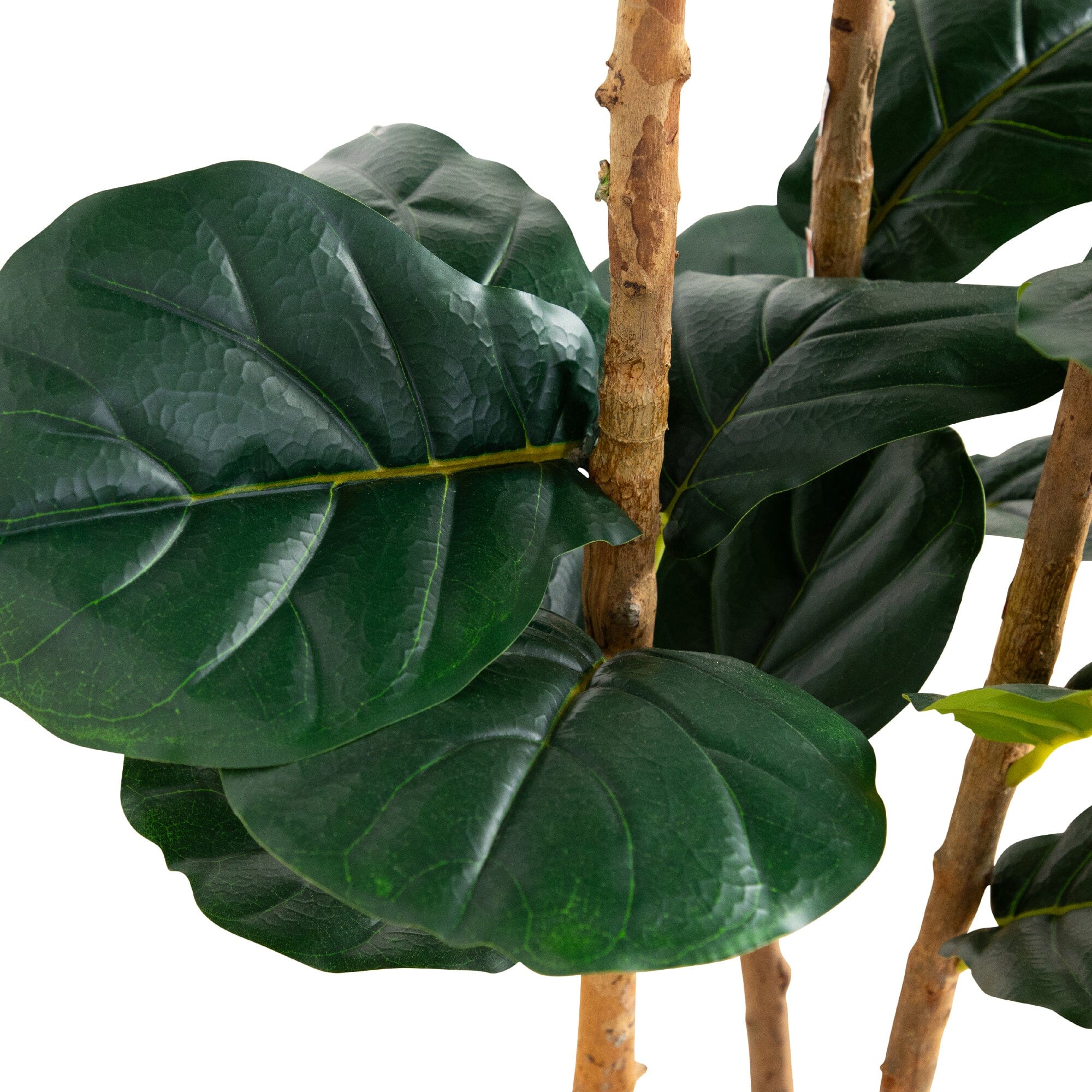 5’ Artificial Fiddle Leaf Tree in Decorative White Planter - Image 2