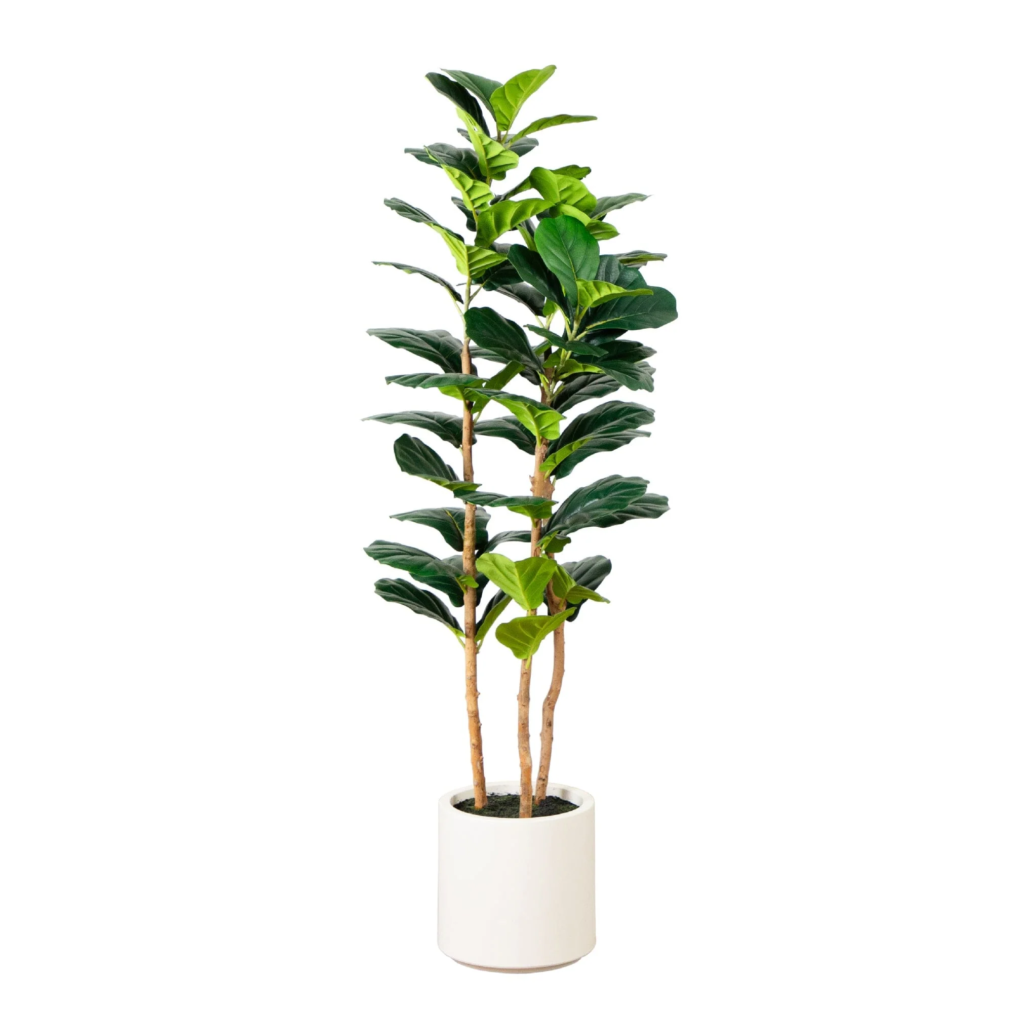 5’ Artificial Fiddle Leaf Tree in Decorative White Planter - Image 9
