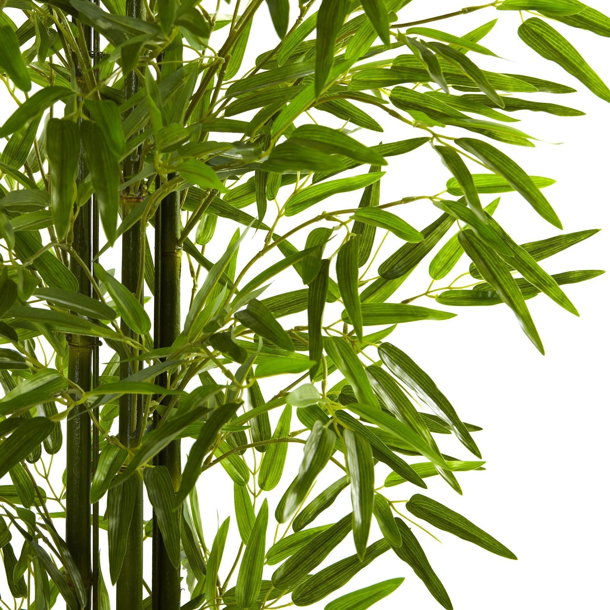 5' Bamboo Tree UV Resistant (Indoor/Outdoor) - Image 2
