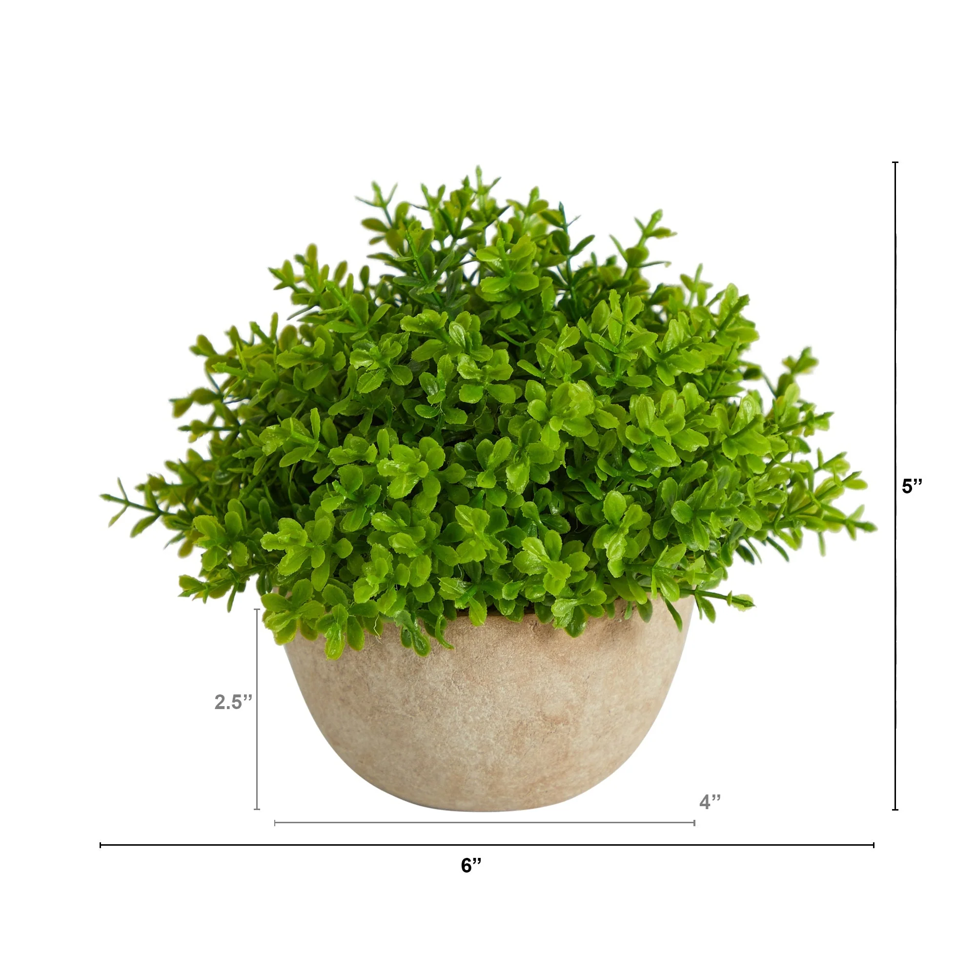 5” Boxwood Artificial Plant in Decorative Planter - Image 2