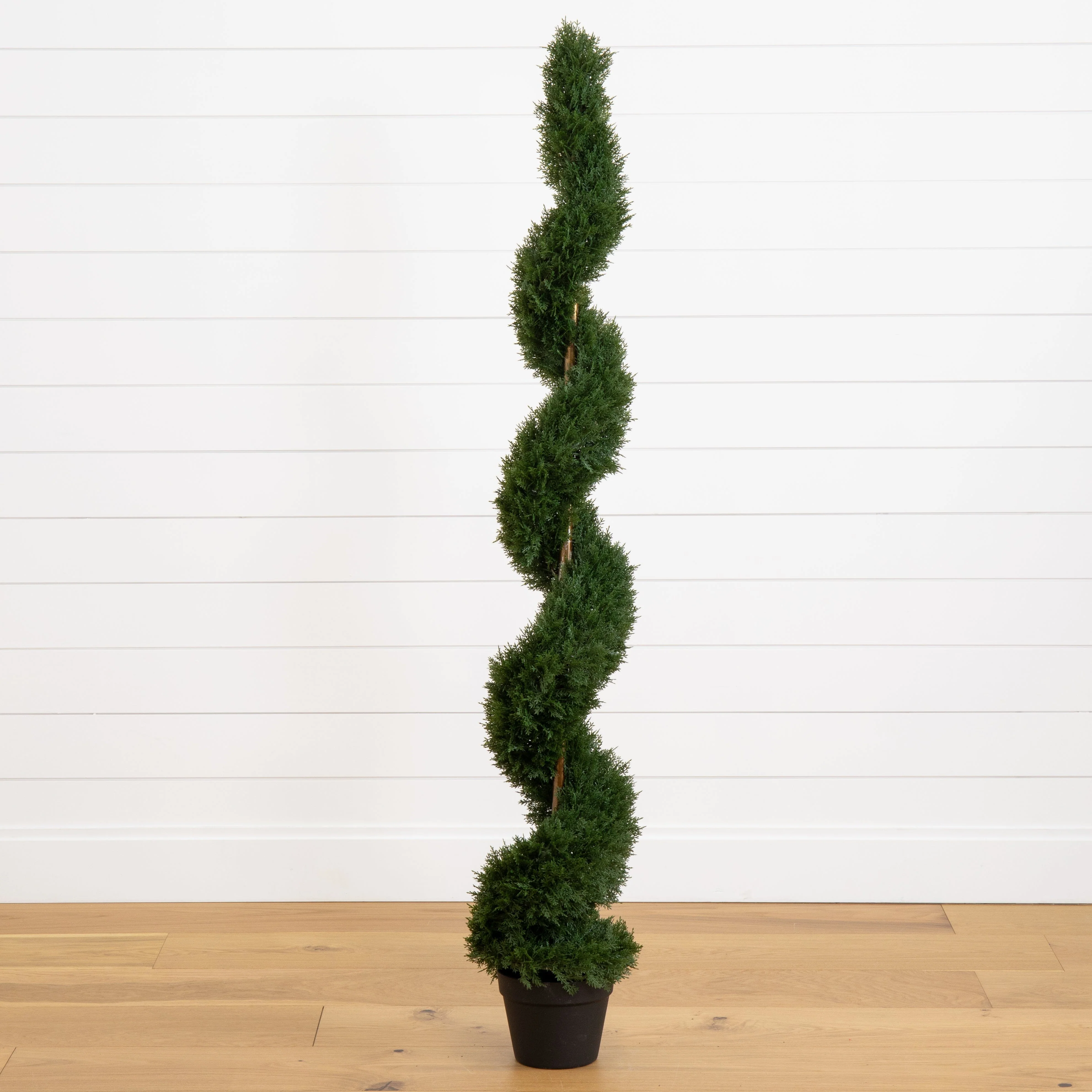 5' Cedar Spiral Silk Tree (In-door/Out-door) - Image 3