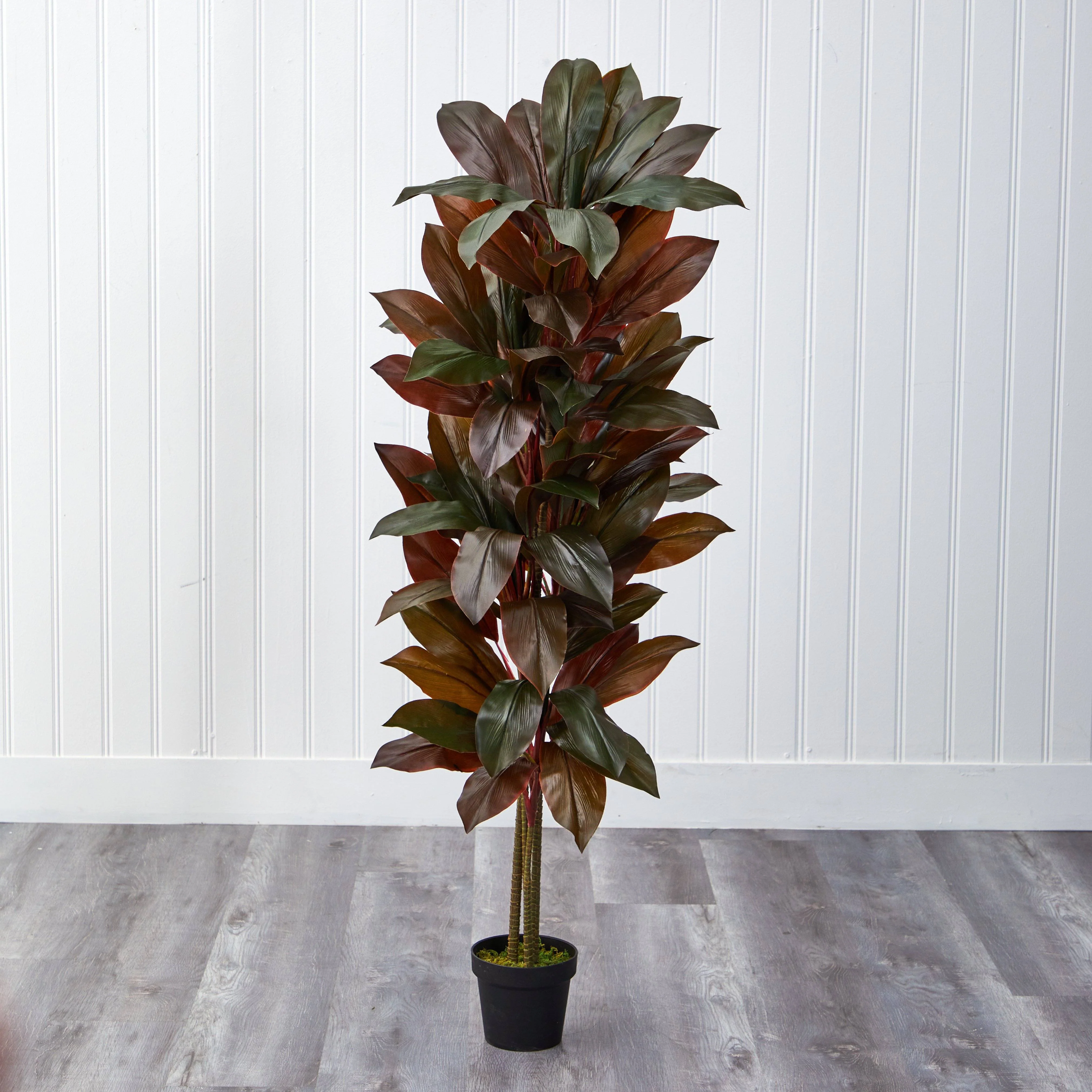 5' Cordyline Silk Plant (Real Touch) - Image 3