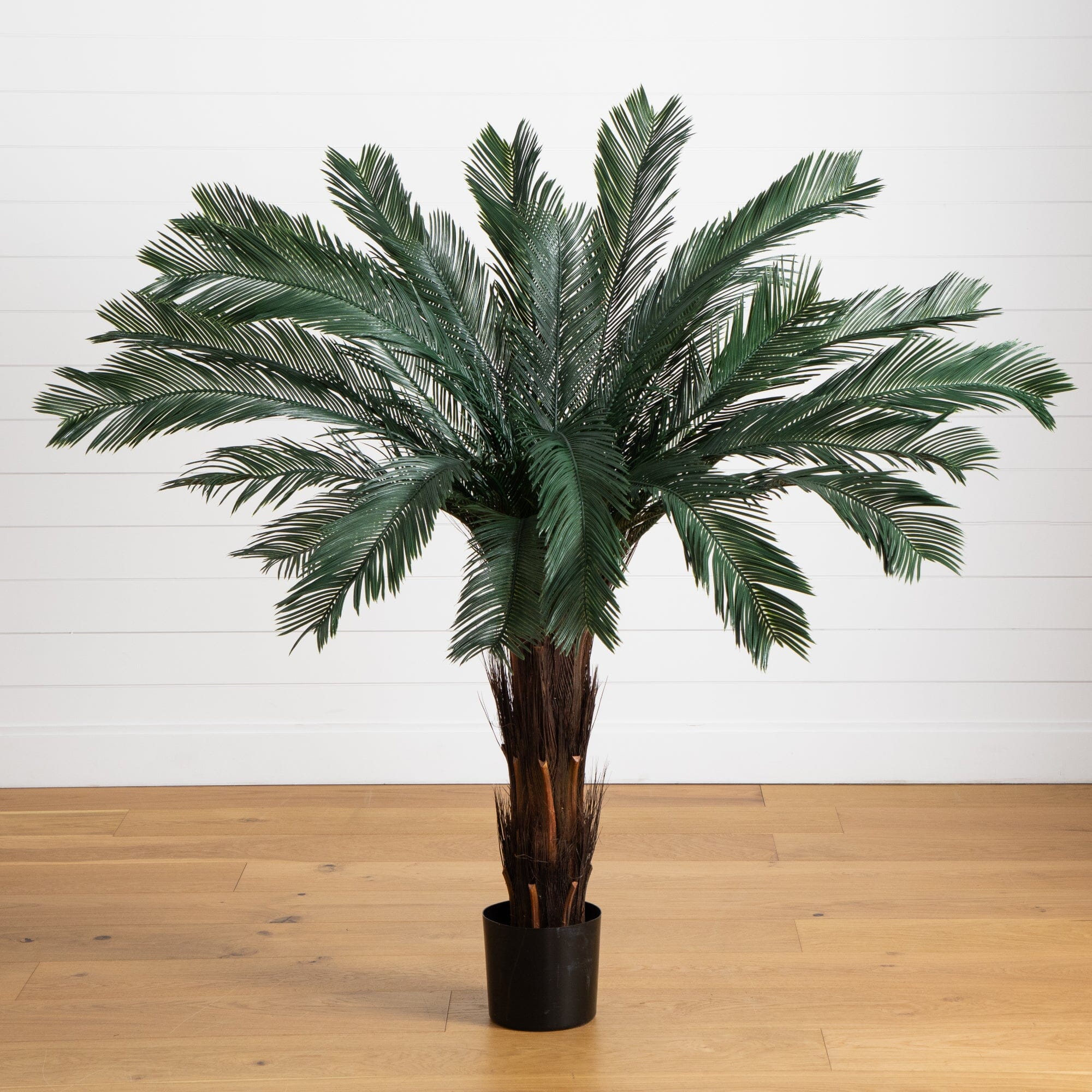 5’ Cycas Tree UV Resistant (In-door/Out-Door) - Image 2