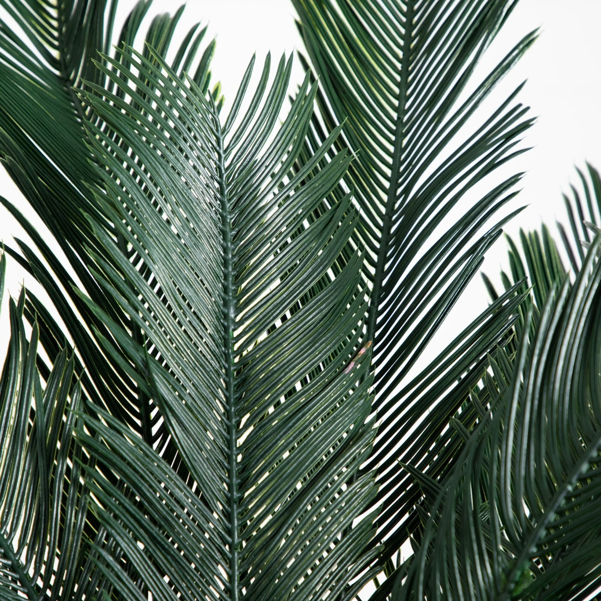 5’ Cycas Tree UV Resistant (In-door/Out-Door) - Image 3