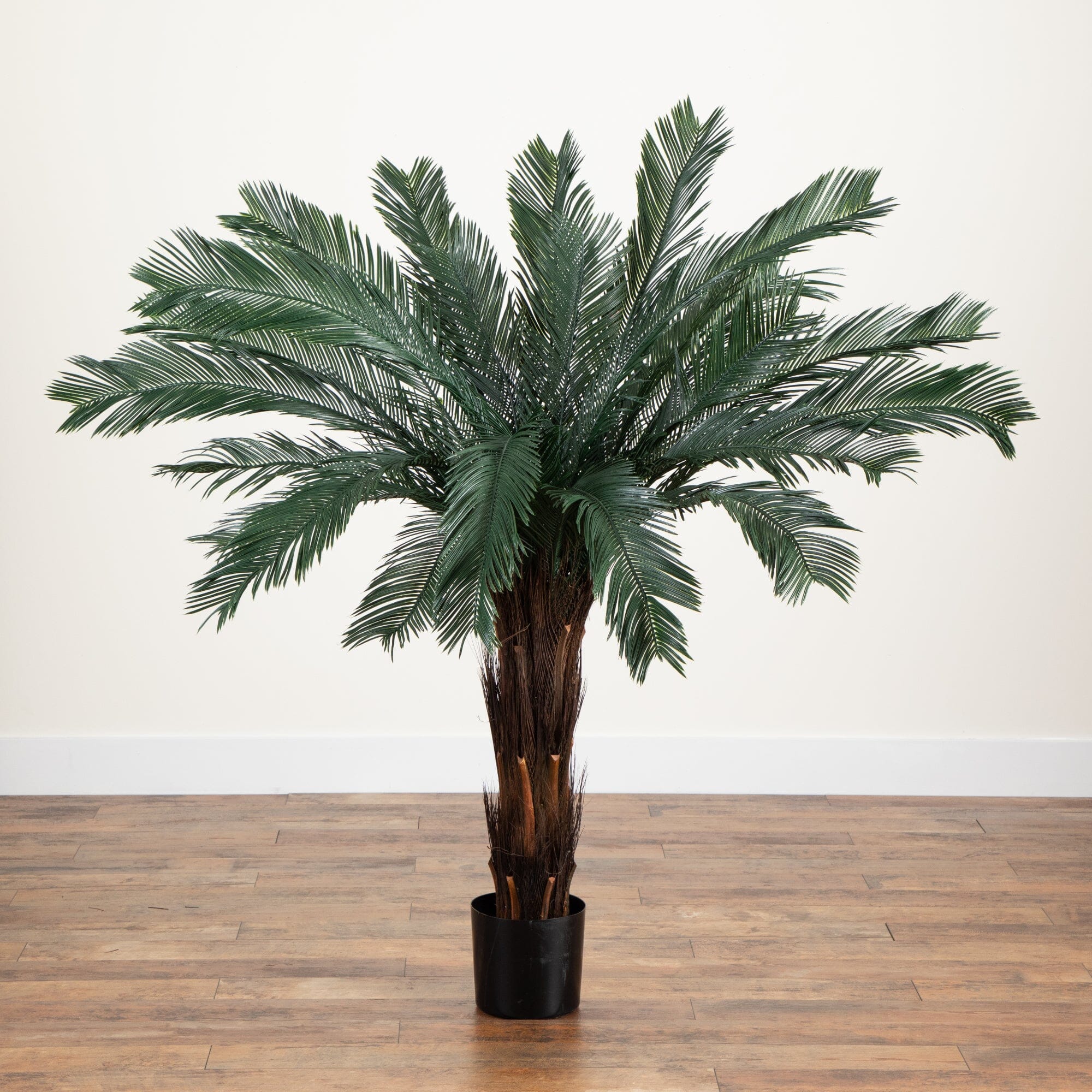 5’ Cycas Tree UV Resistant (In-door/Out-Door) - Image 5