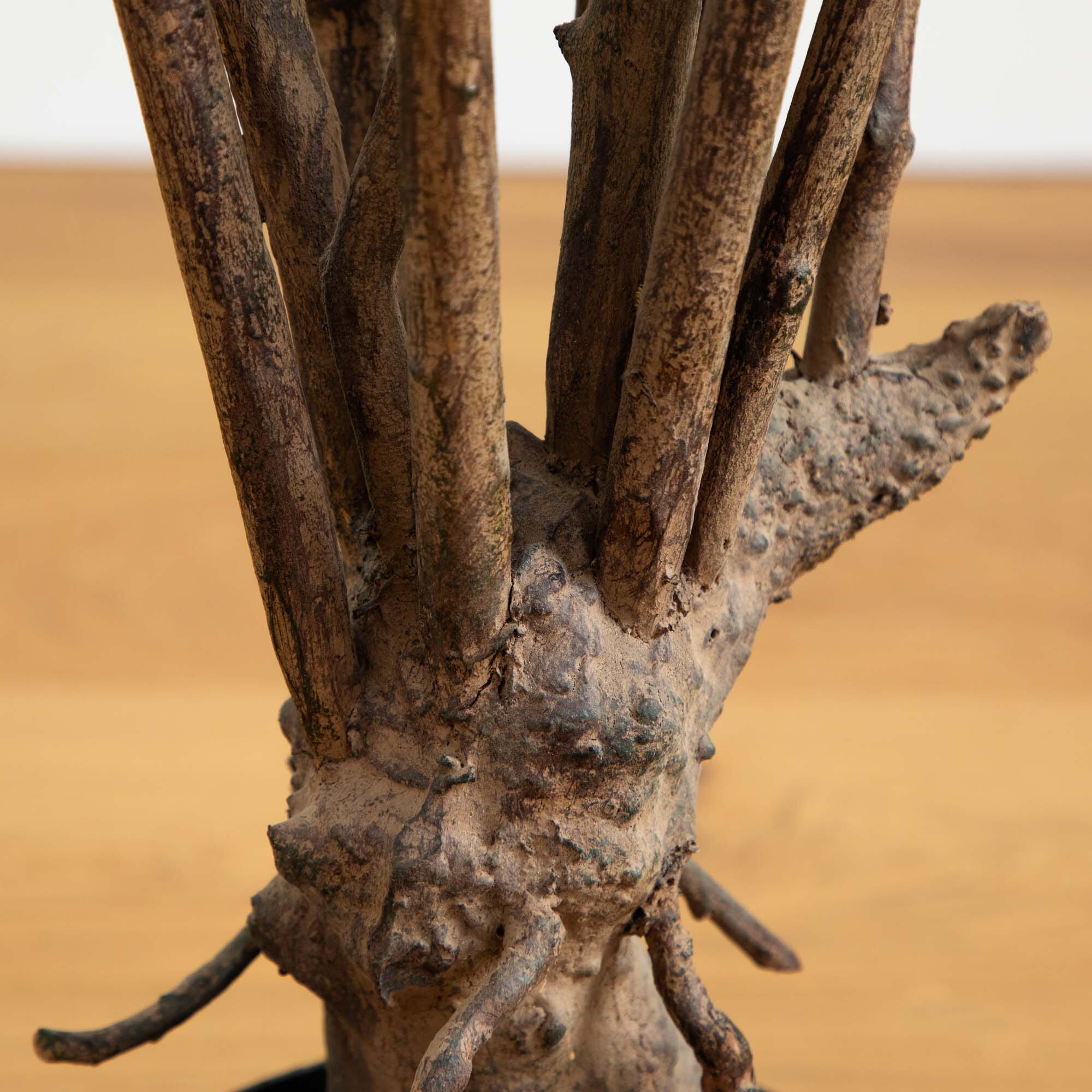 5’ Dracaena Silk Tree - Image 3