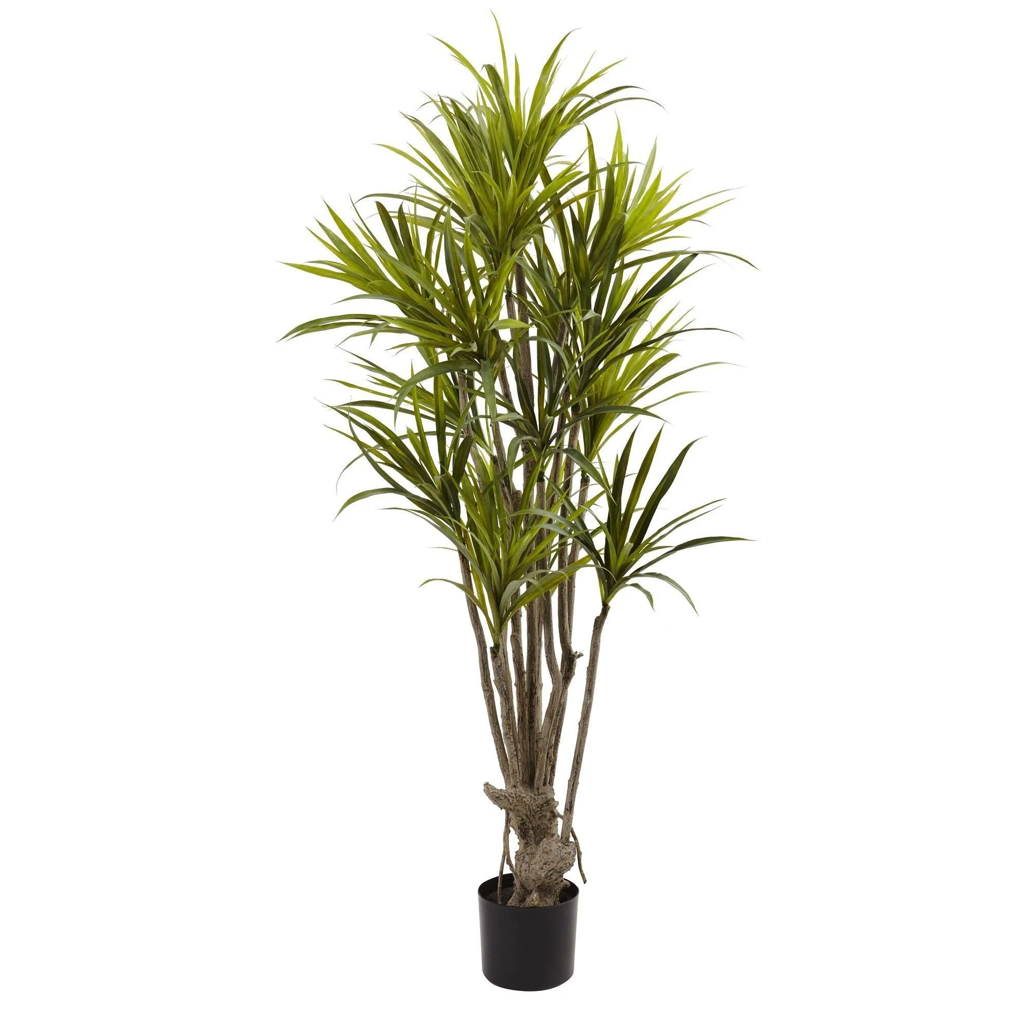 5’ Dracaena Silk Tree - Image 4