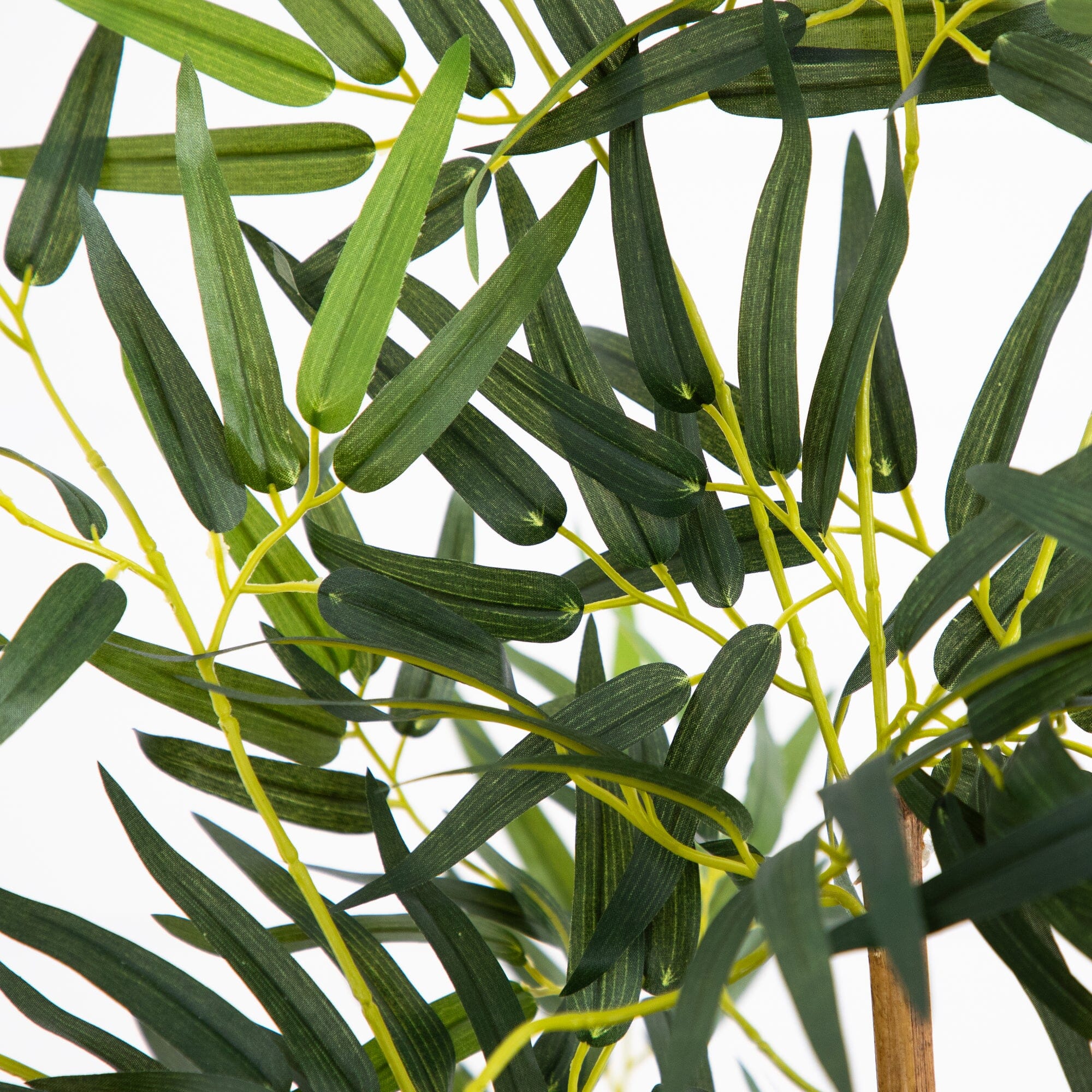 5' Fancy Style Bamboo Silk Tree - Image 2