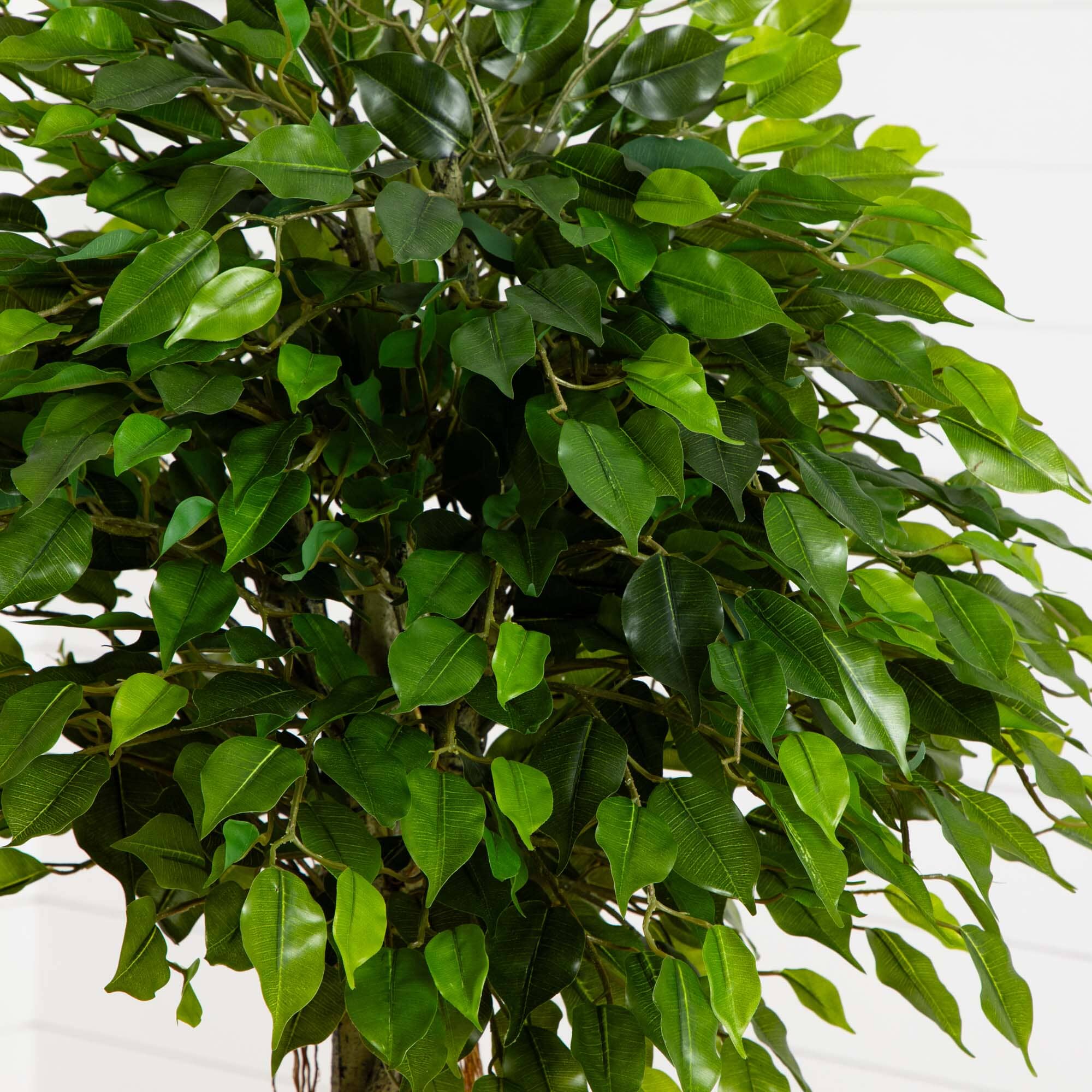 5' Ficus Artificial Topiary Tree UV Resistant (Indoor/Outdoor) - Image 2
