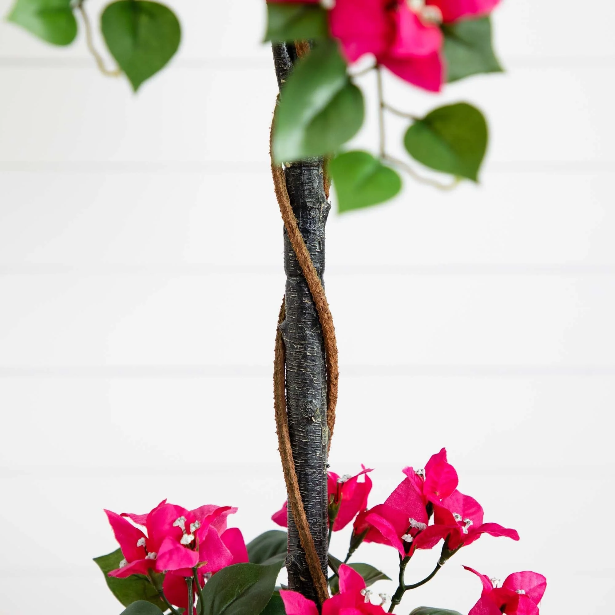 5' Mini Bougainvillea Topiary - Image 3