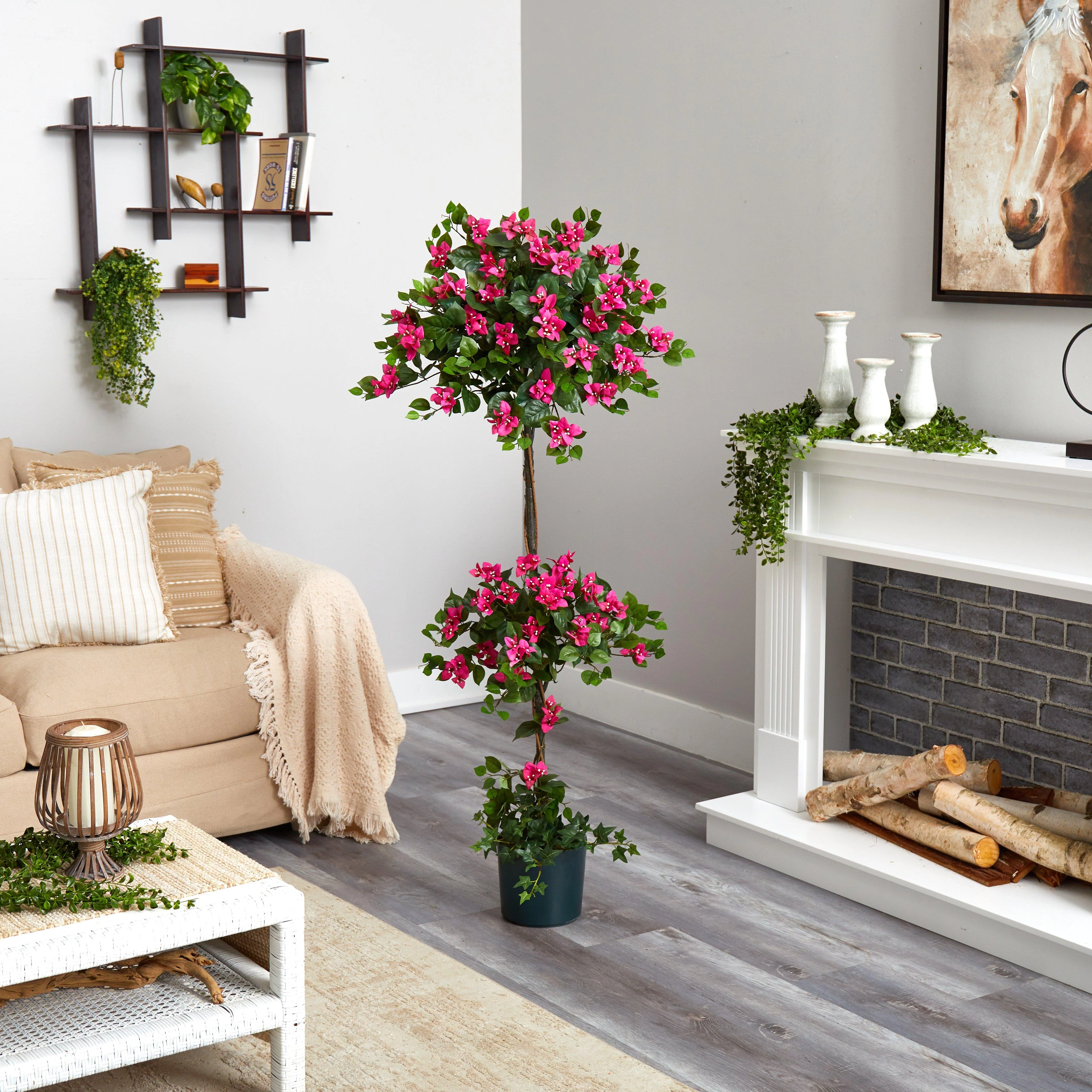 5' Mini Bougainvillea Topiary - Image 4