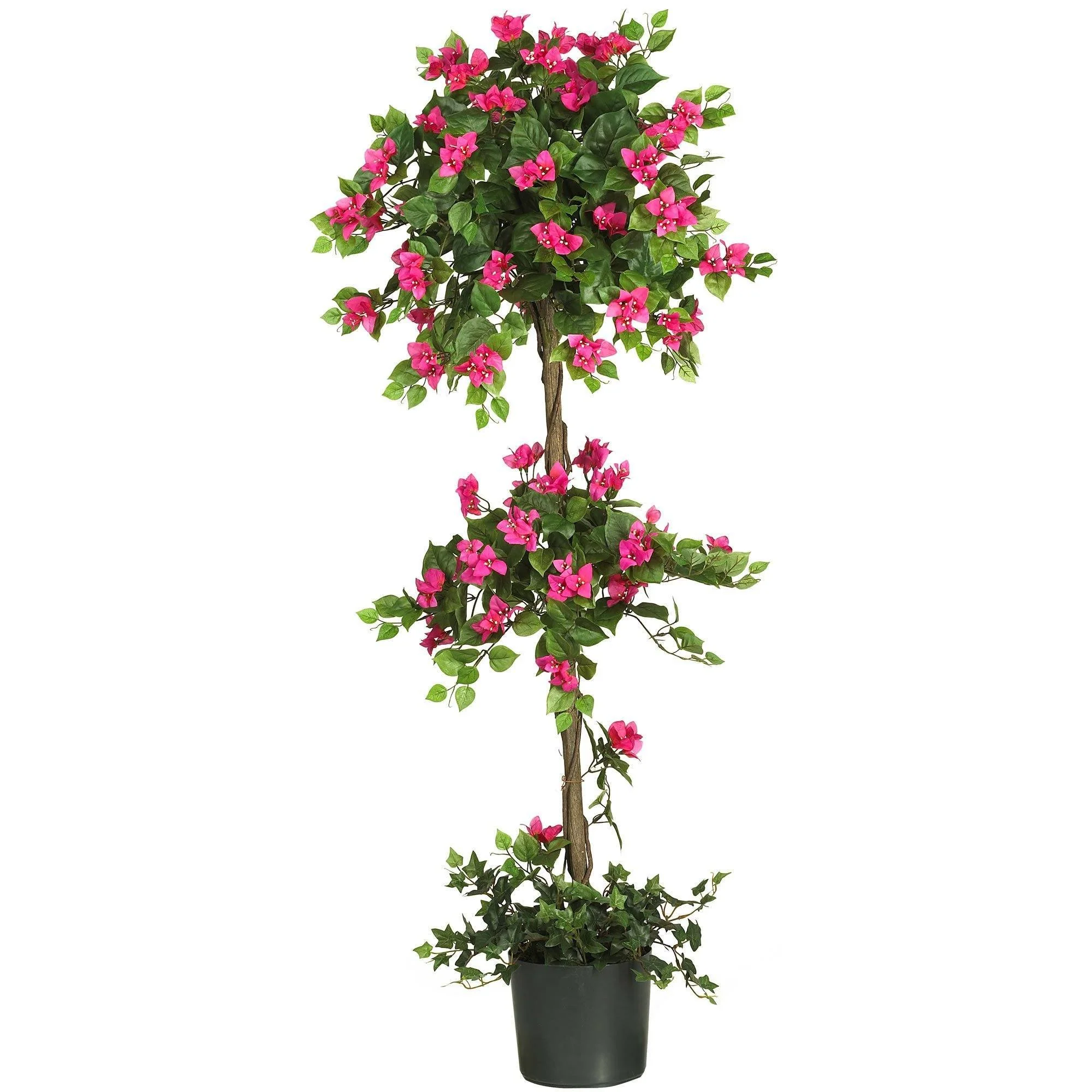 5' Mini Bougainvillea Topiary - Image 6