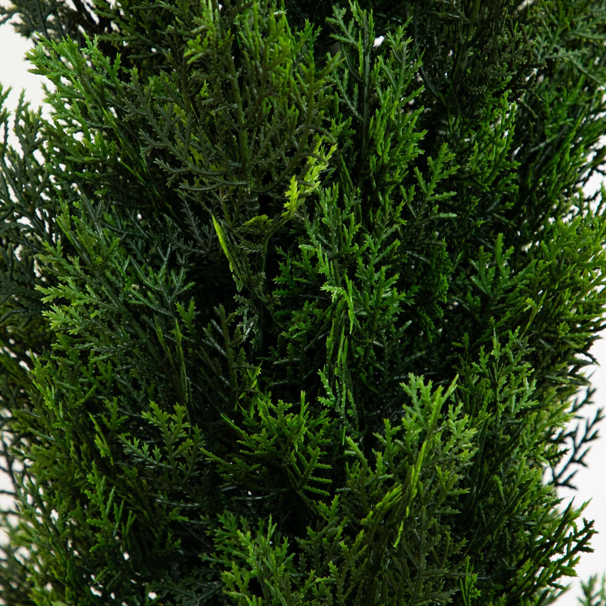 5' Mini Cedar Pine Tree (Indoor/Outdoor) - Image 2