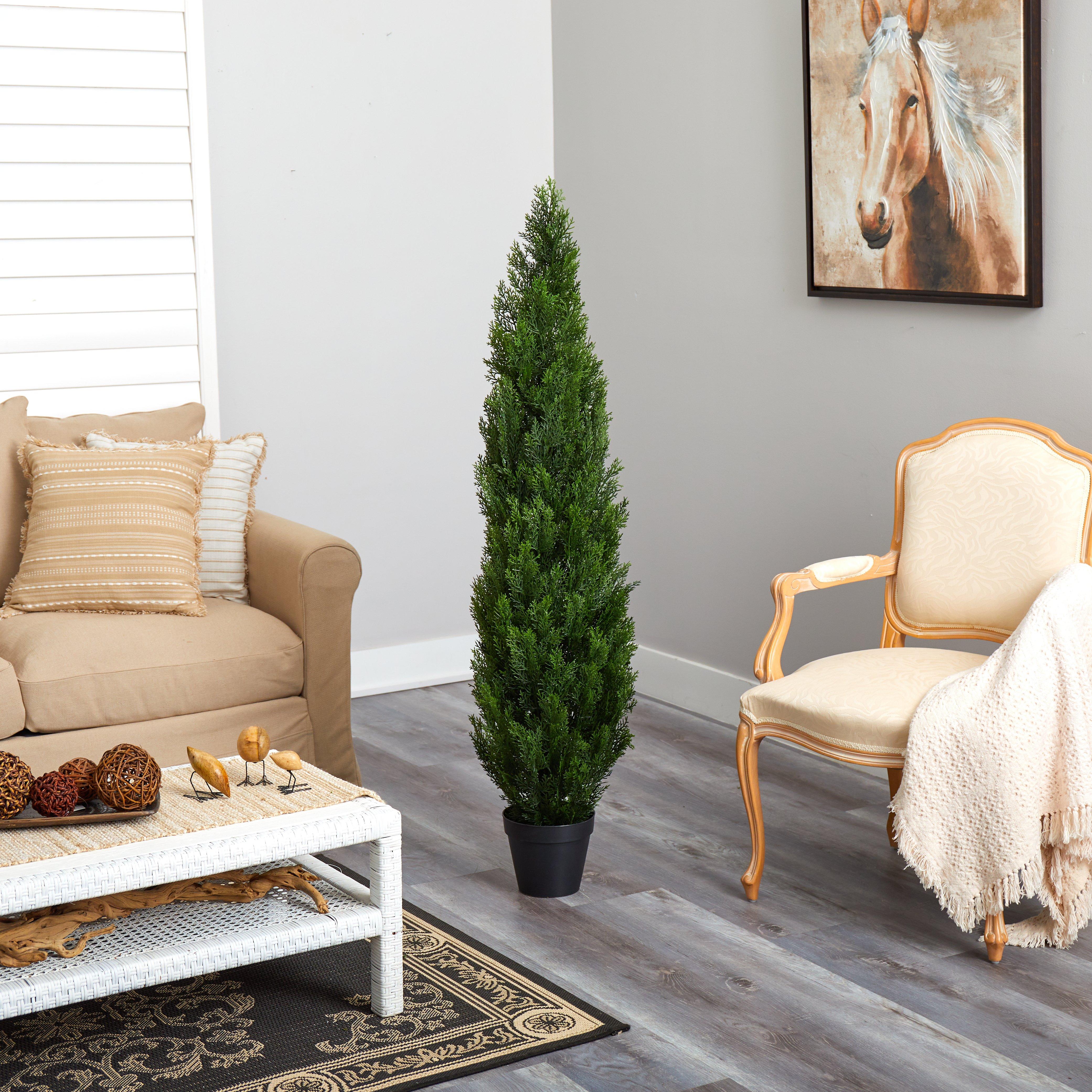 5' Mini Cedar Pine Tree (Indoor/Outdoor) - Image 3