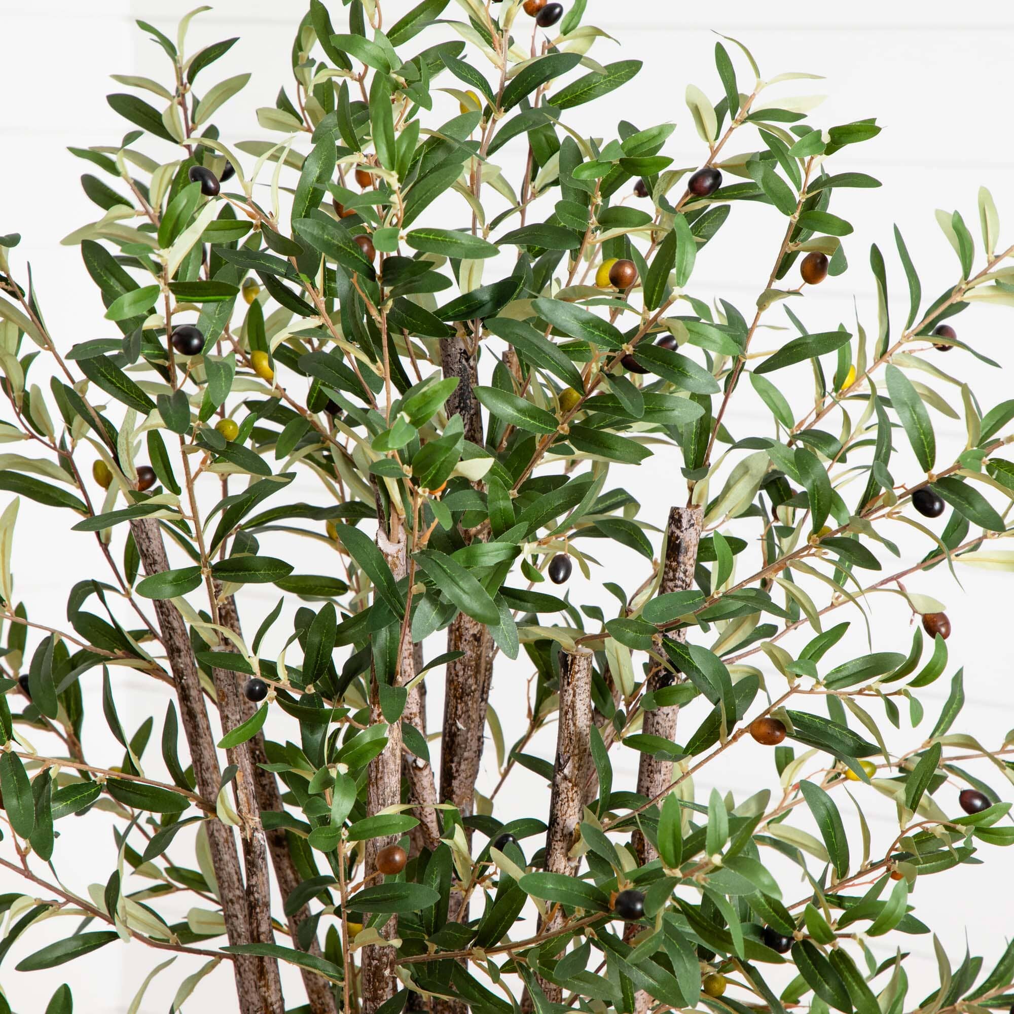 5' Olive Silk Tree - Image 2