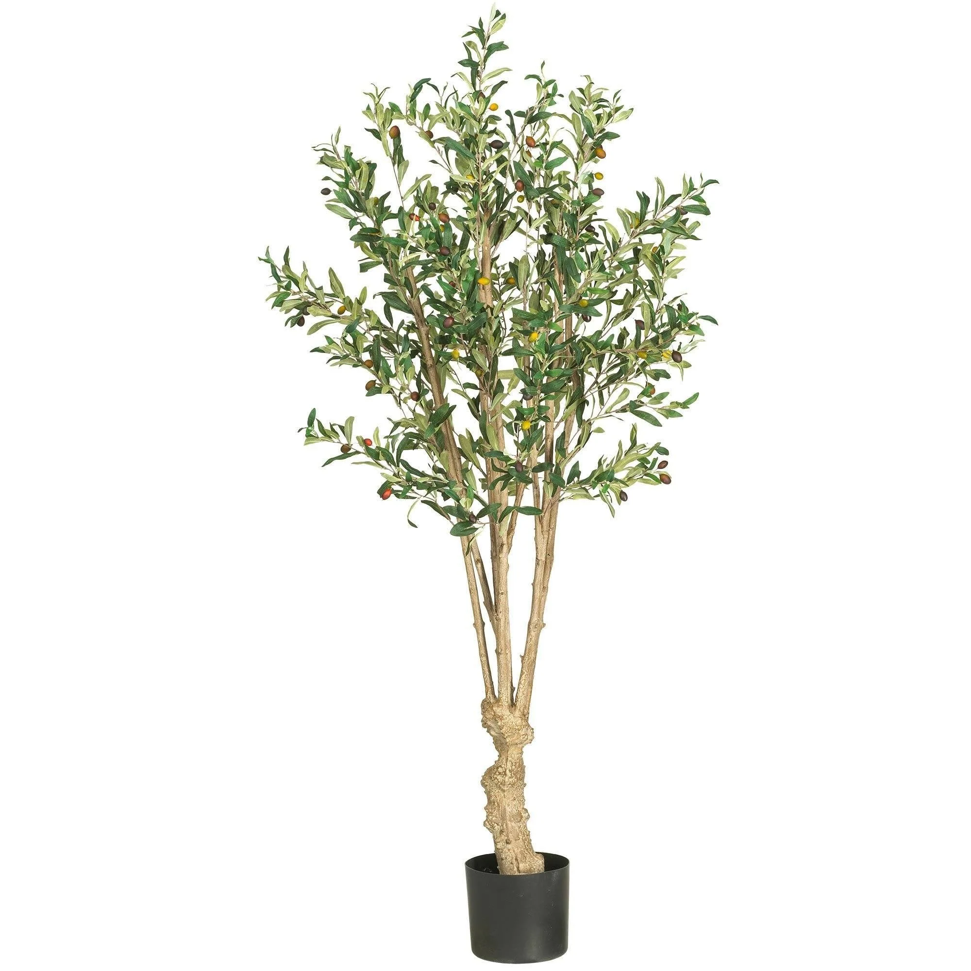 5' Olive Silk Tree - Image 6
