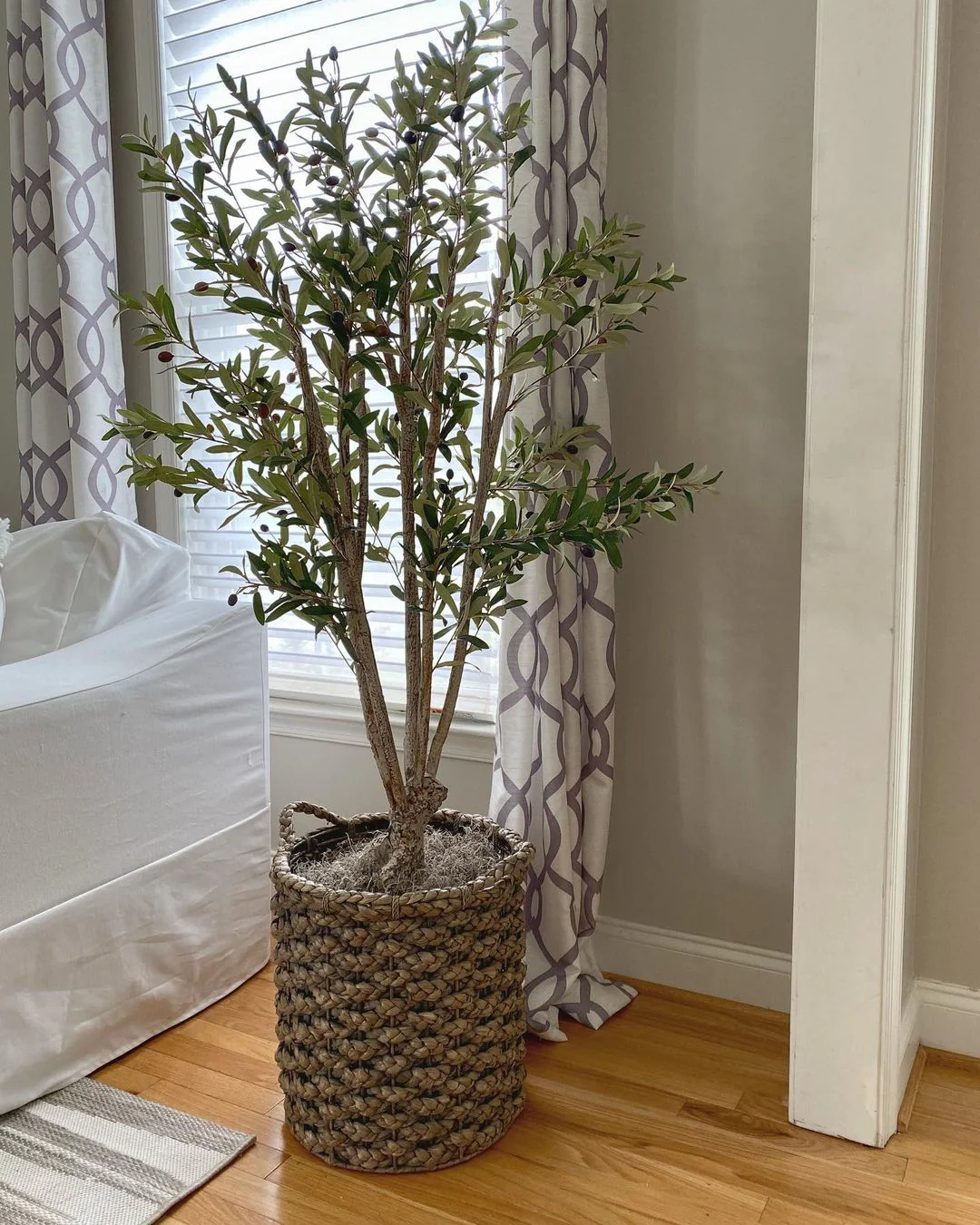 5' Olive Silk Tree - Image 8