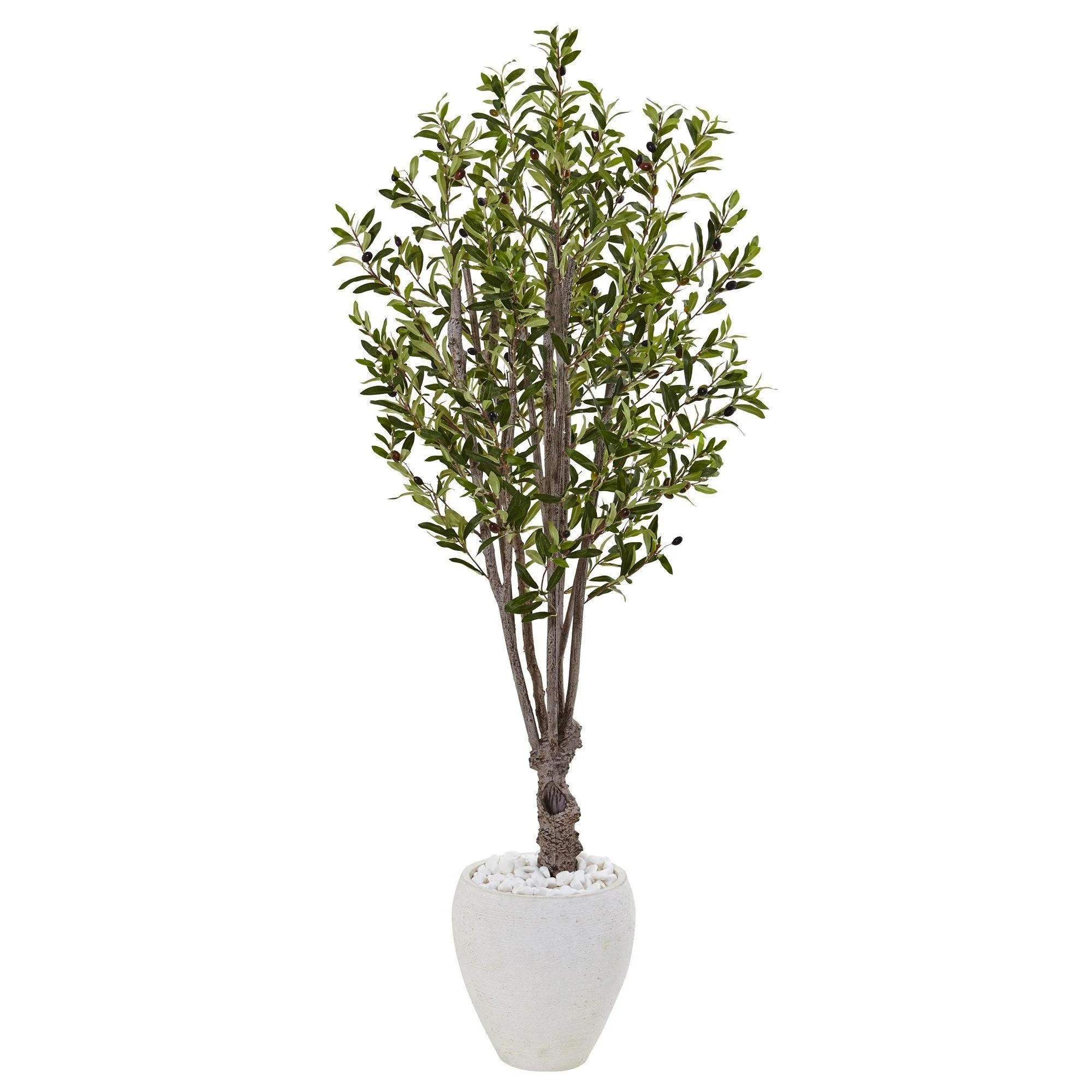 5’ Olive Tree in White Oval Planter - Image 3